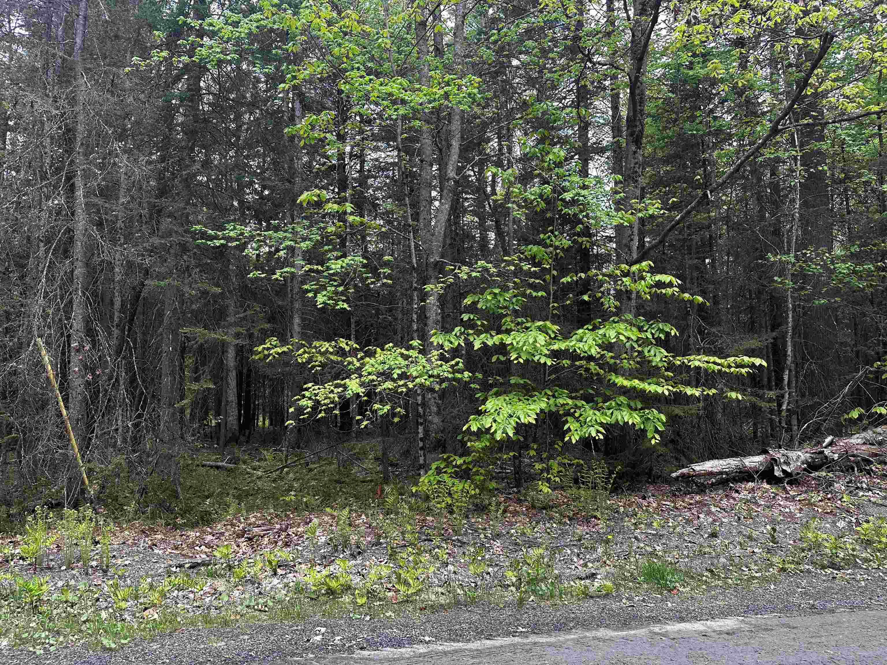 Village of Eastman in Town of Grantham NH Land for sale $39,900 | 0.61 Acres  | Price Per Acre $0 