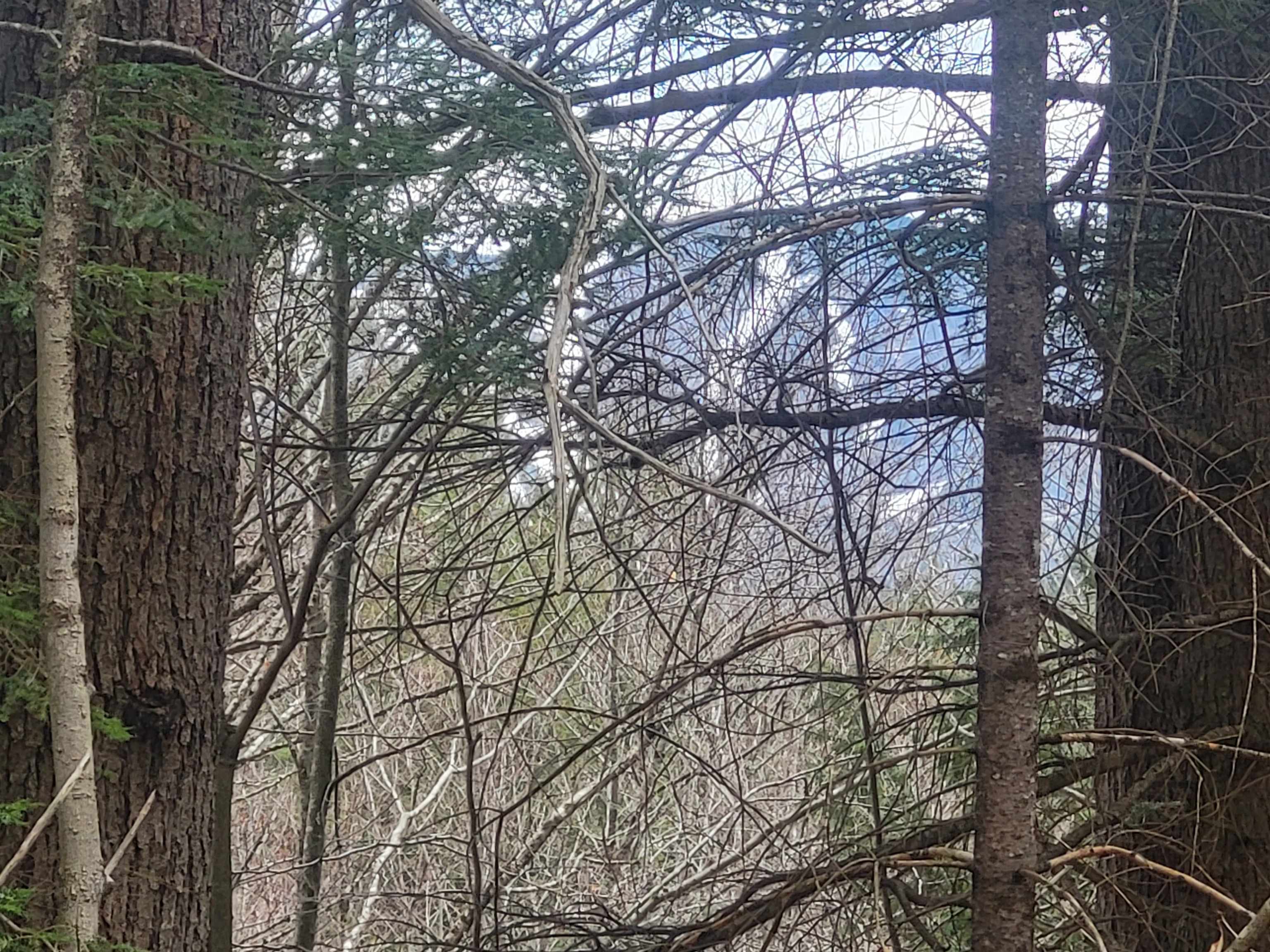 Homes for sale in Danbury, NH | 410-089-001 Eastern District Rd, Danbury, NH 03230 | MLS# 5036053