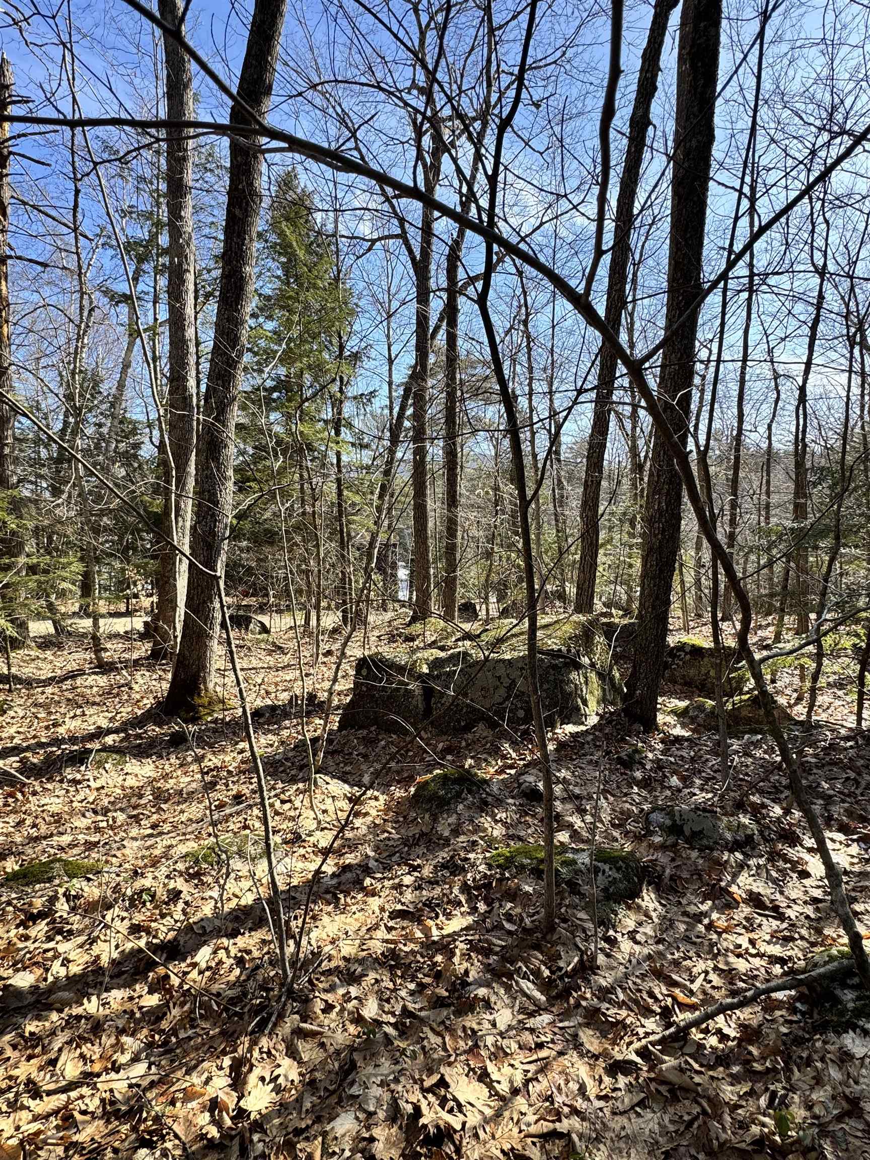 Homes for sale in Moultonborough, NH | Moose Walk, Moultonborough, NH 03254 | MLS# 5036138