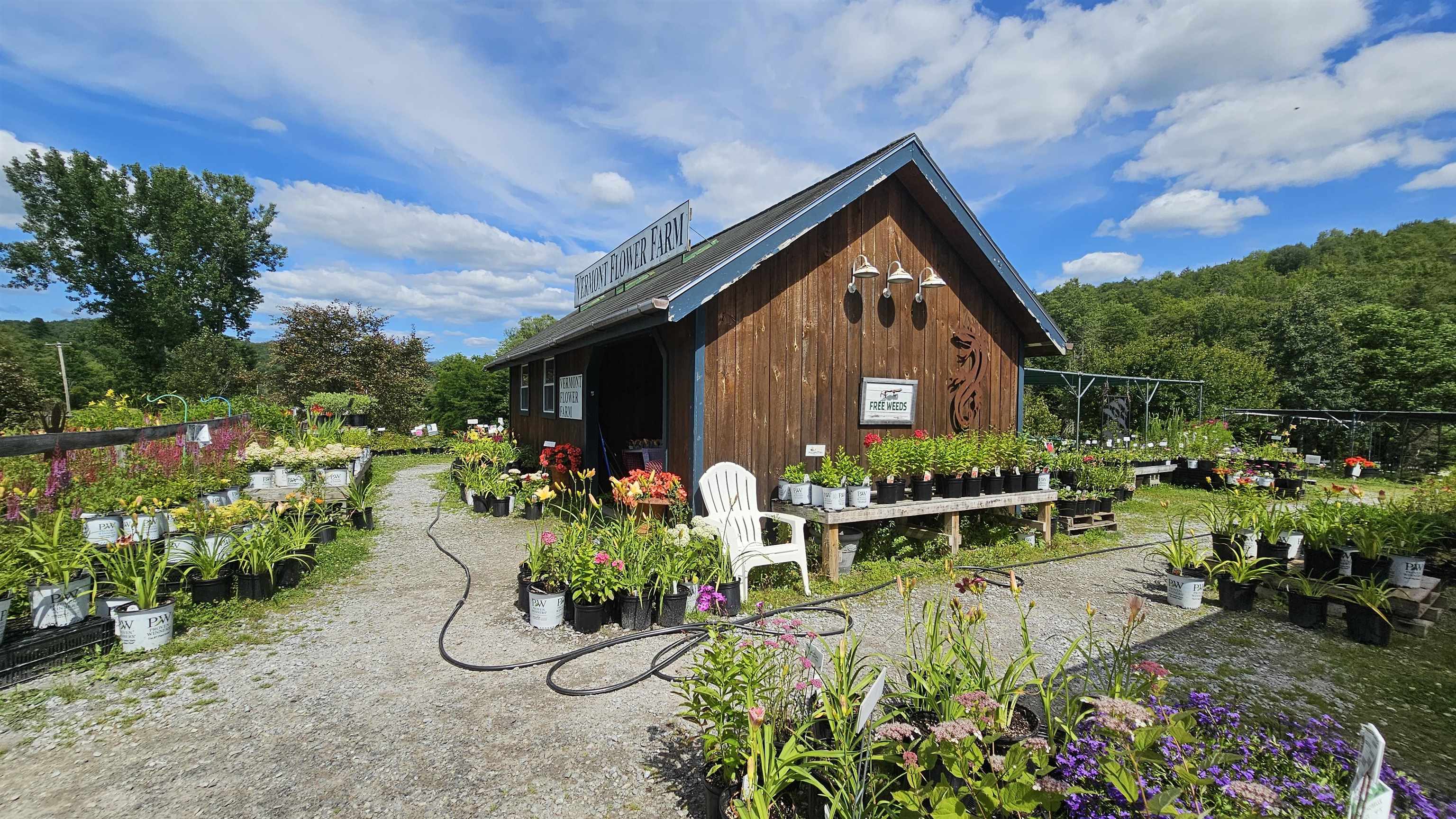 Homes for sale in Marshfield, VT | 2263 Us Route 2, Marshfield, VT 05658 | MLS# 5036408