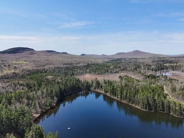 Homes for sale in Bingham, ME | 15 Hamlin Loop, Bingham, ME 04942 | MLS# 5036514