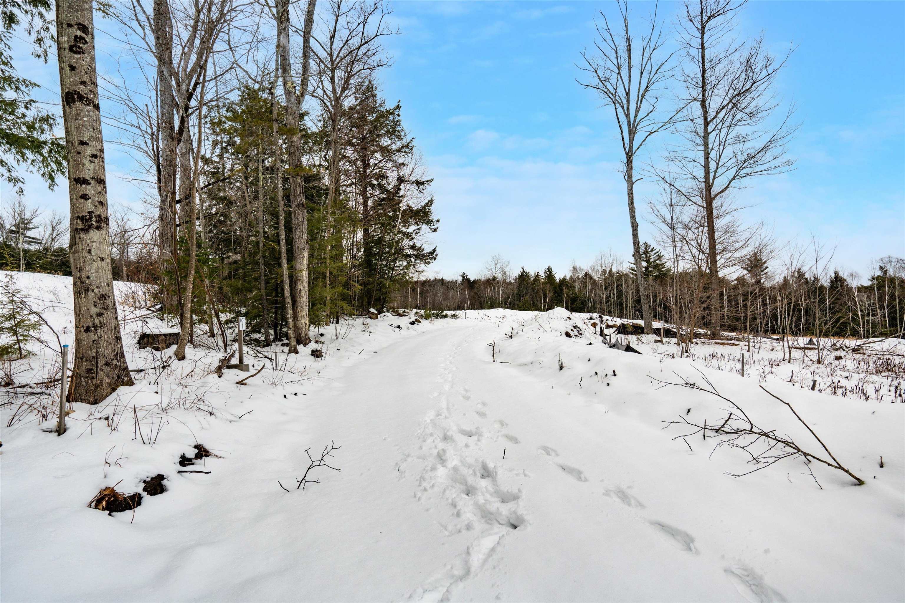 MLS #5036516 image #9