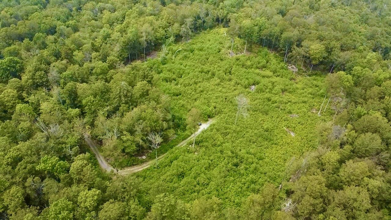 Andover VT Land for sale $$259,000 | 8.53 Acres  | Price Per Acre $0 