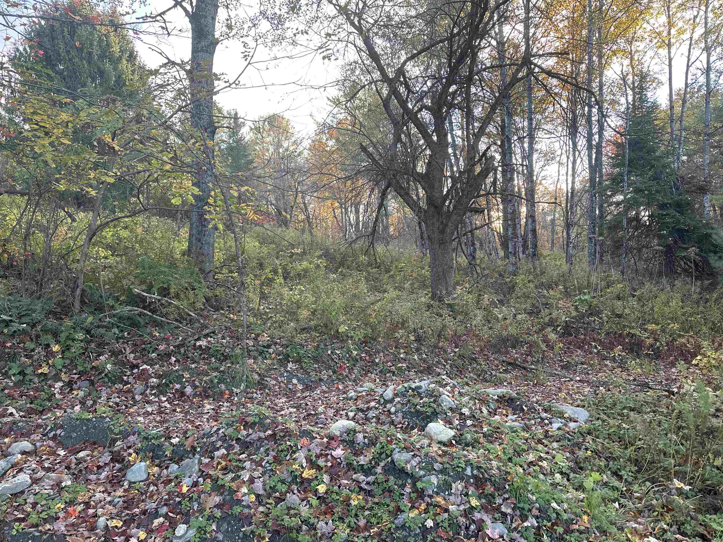 70 Hodge Hill Rd, Lisbon, NH 03585