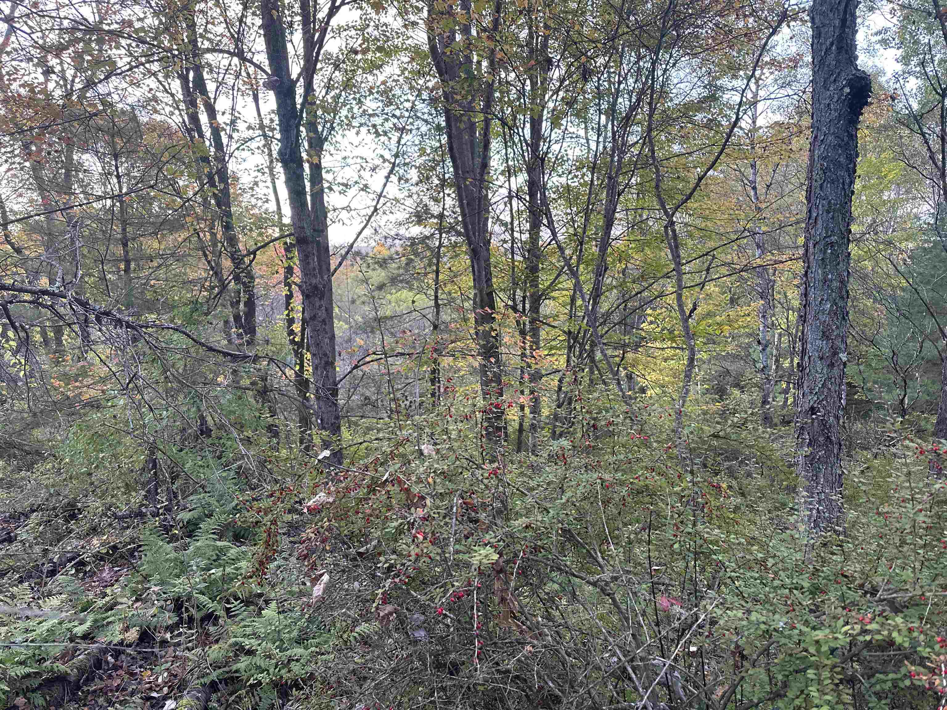 70 Hodge Hill Rd, Lisbon, NH 03585