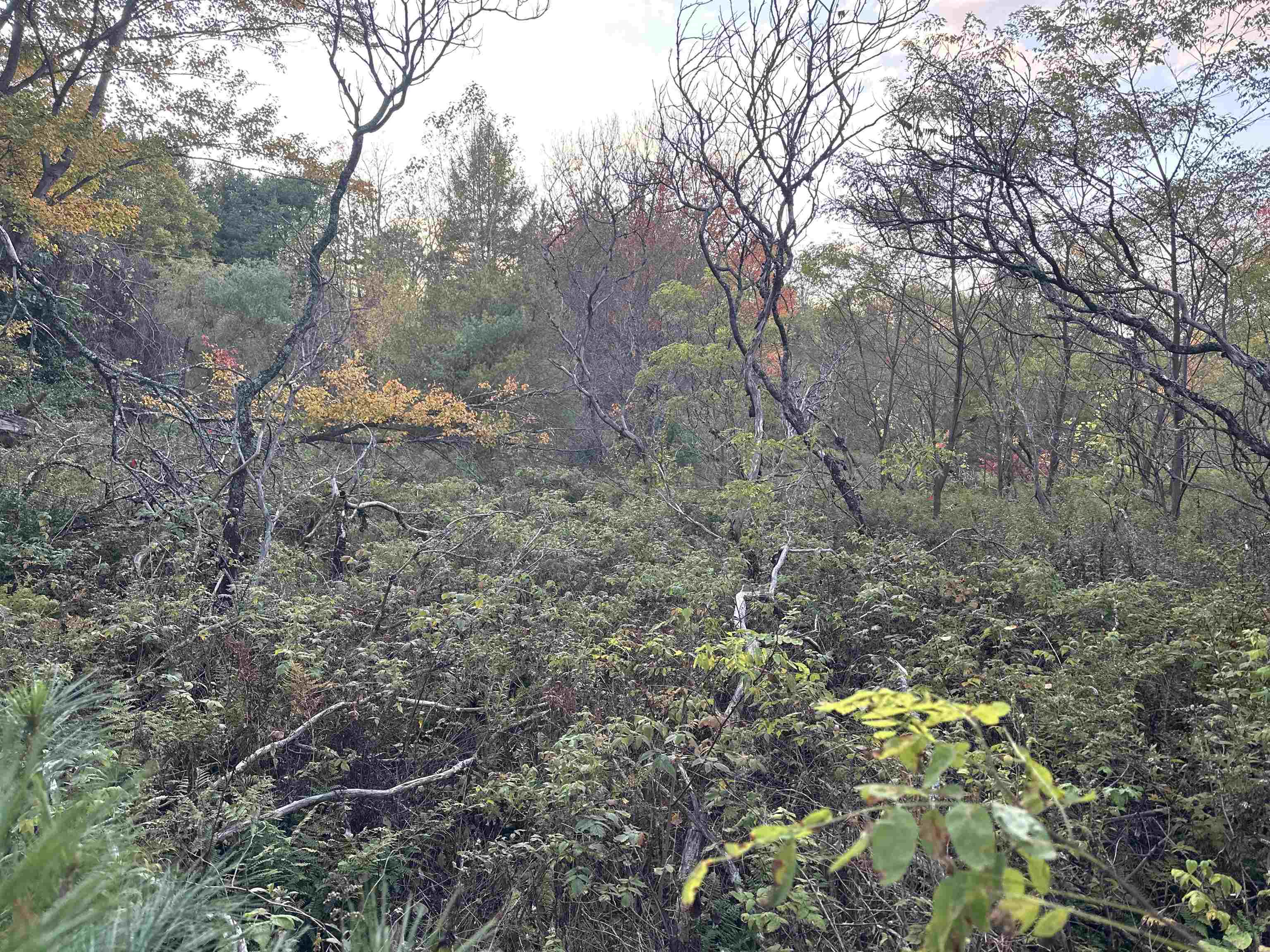 70 Hodge Hill Rd, Lisbon, NH 03585