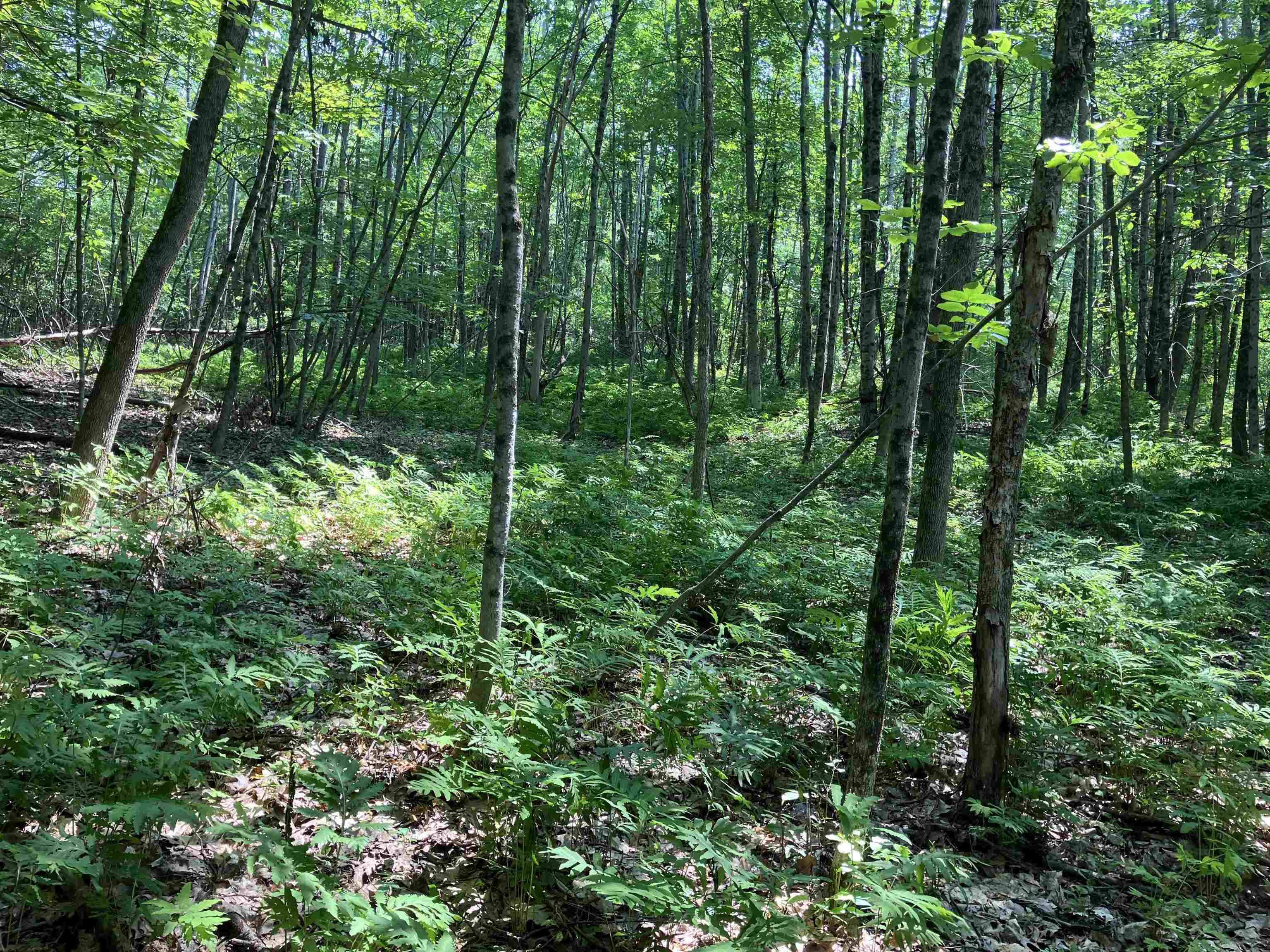 Homes for sale in Claremont, NH | Slab City Rd, Claremont, NH 03743 | MLS# 5036741