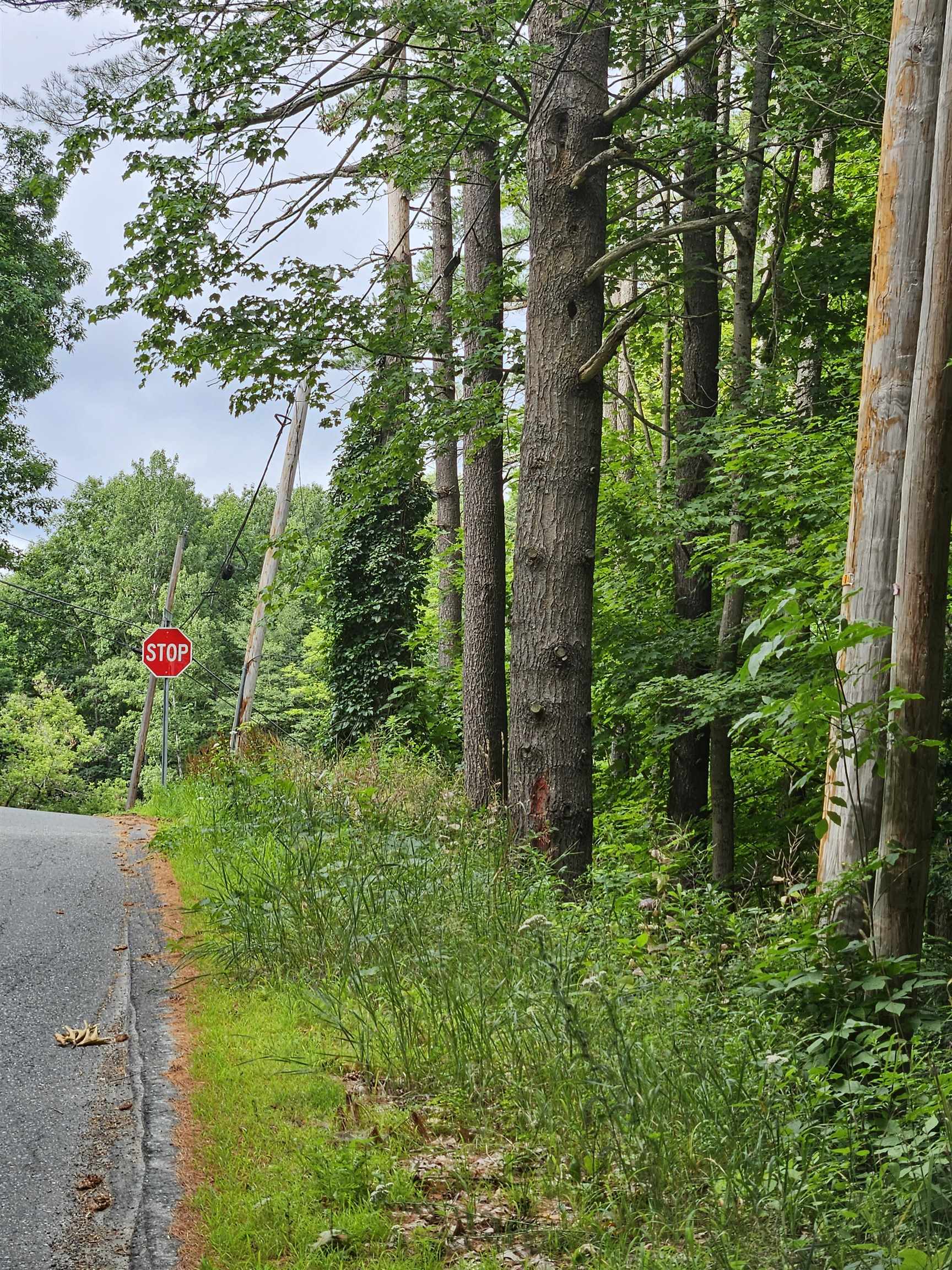 Homes for sale in Claremont, NH | Slab City Rd, Claremont, NH 03743 | MLS# 5036741