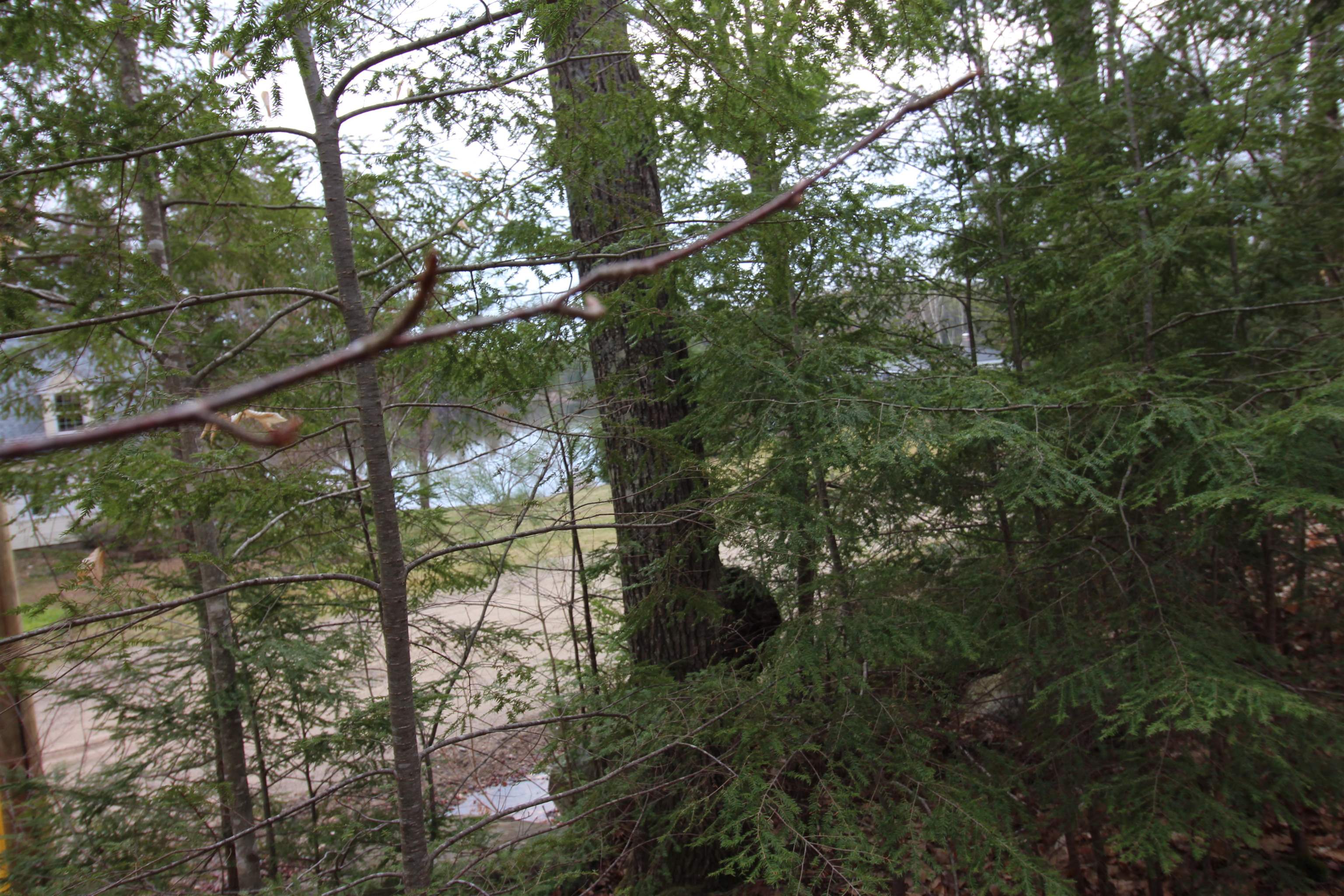 Homes for sale in Milton, NH | Lot 19 17 Northeast Pond Rd, Milton, NH 03851 | MLS# 5036938