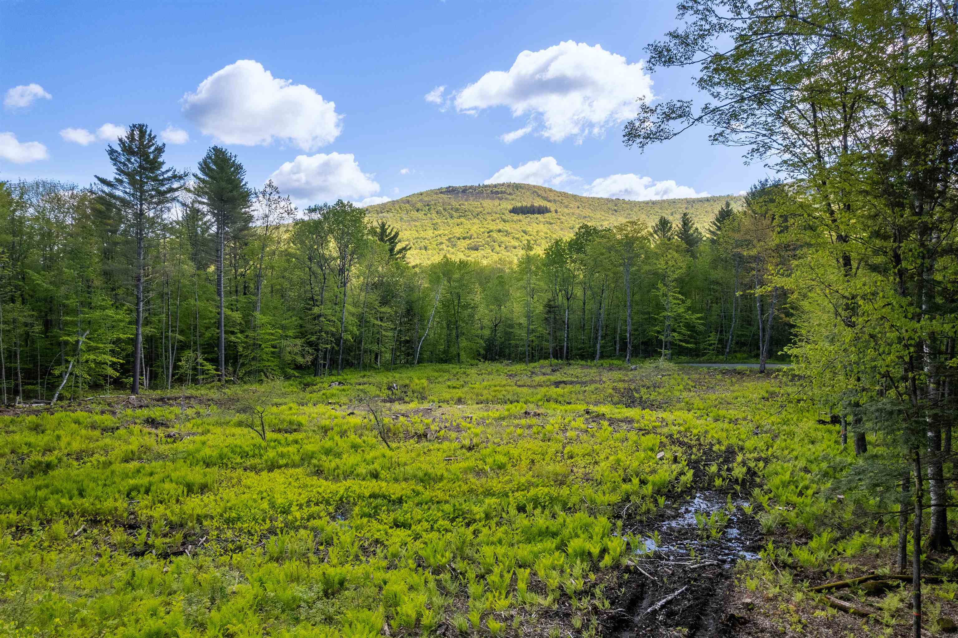 Woodstock VT Land for sale $650,000 | 77.7 Acres  | Price Per Acre $0  | Total Lots 2