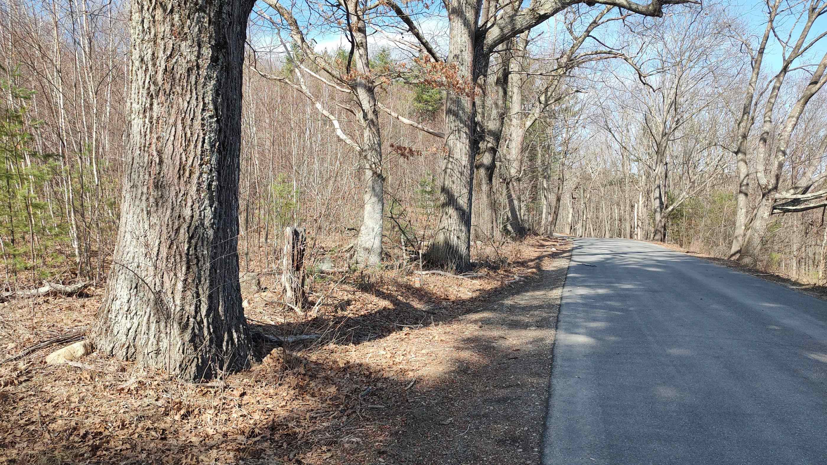 Lot 1-50-1 Colburn Rd, New Boston, NH 03070