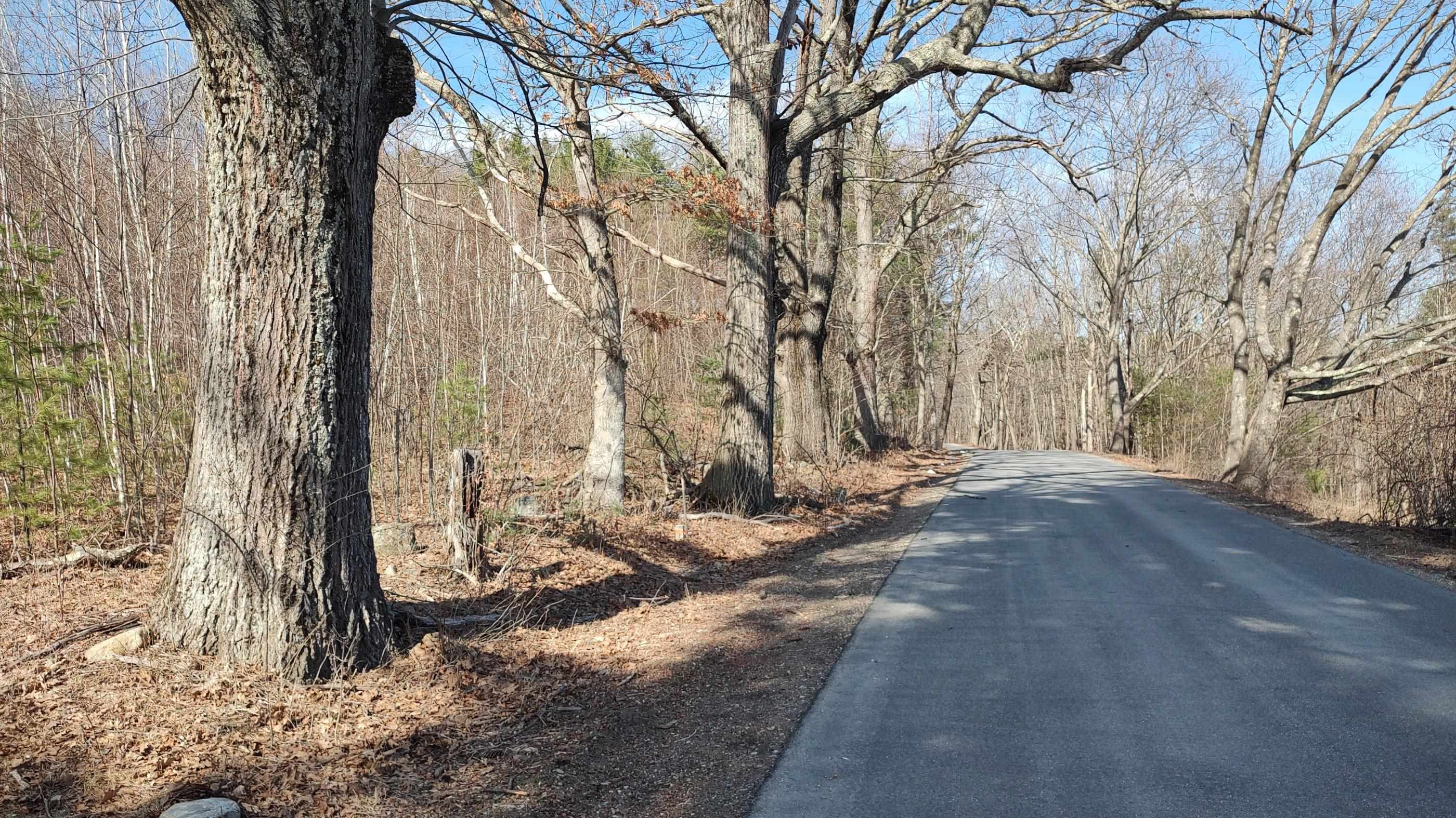 Lot 1-50-1 Colburn Rd, New Boston, NH 03070