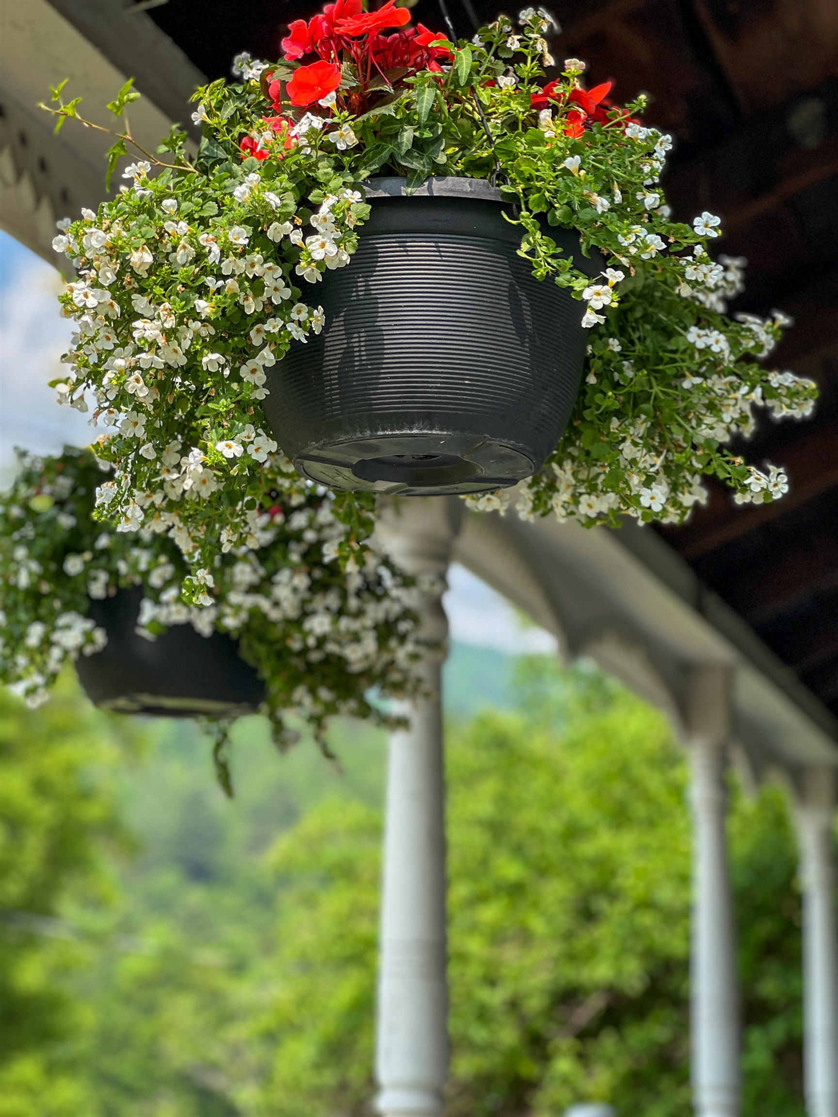 Homes for sale in Rochester, VT | 165 North Main St, Rochester, VT 05767 | MLS# 5037267