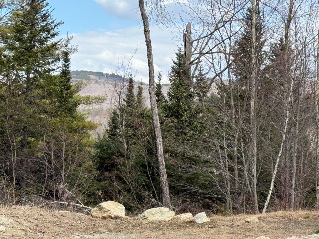 A Peek At Tug Mtn 23023332