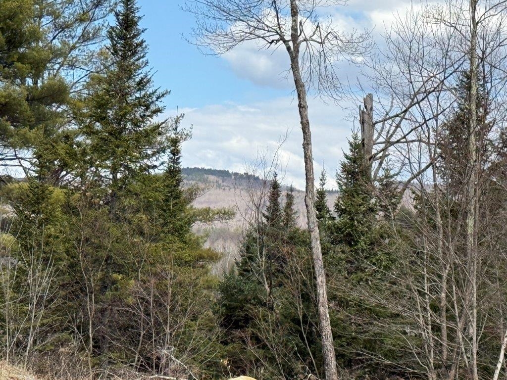 At The Foothills Of Tug Mtn 23023331