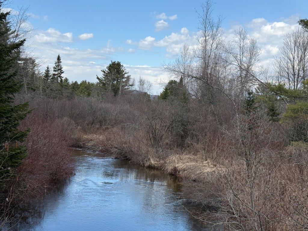 Frontage On Indian River 23023334