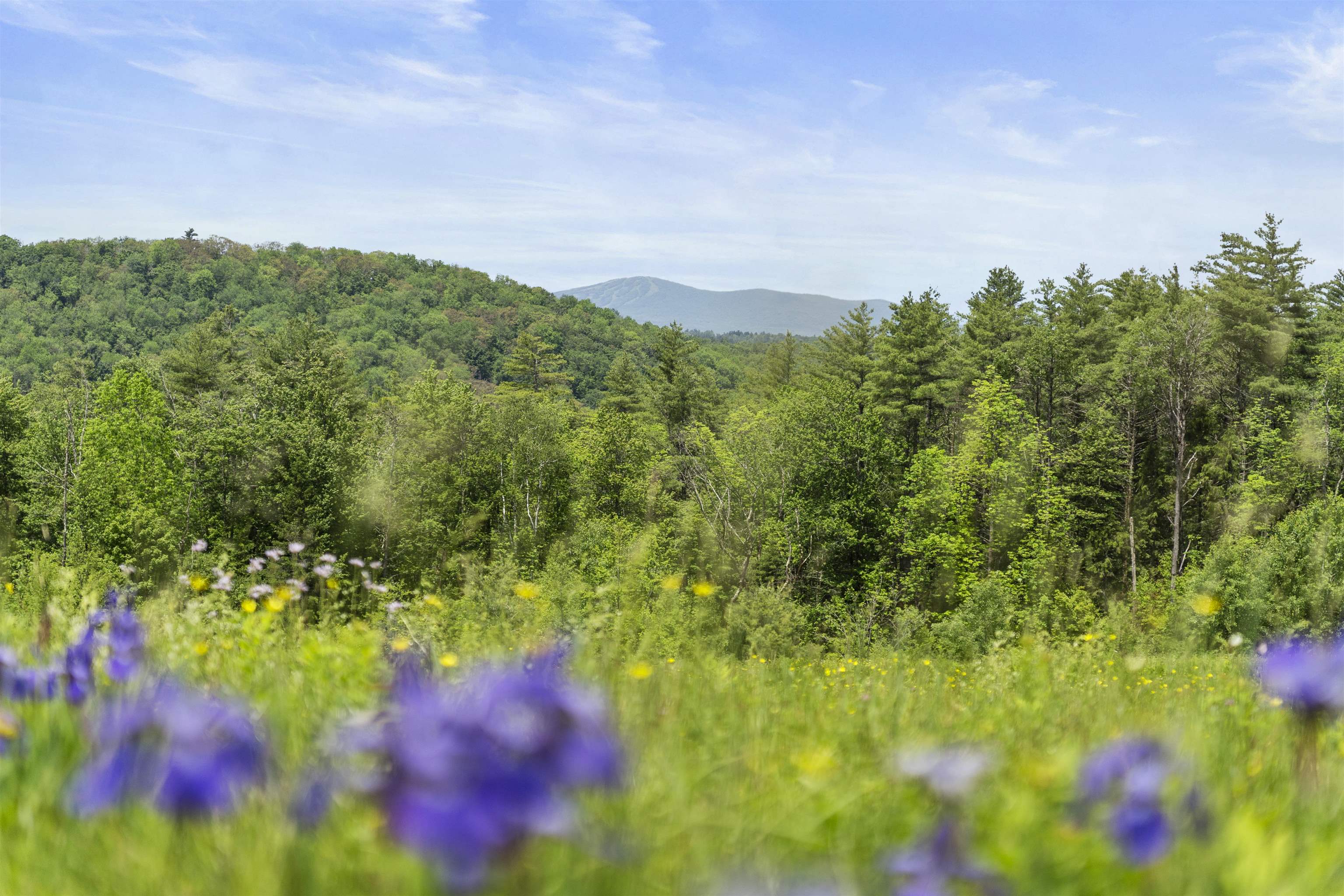Homes for sale in Londonderry, VT | 000 Under The Mountain Rd, Londonderry, VT 05155 | MLS# 5037274