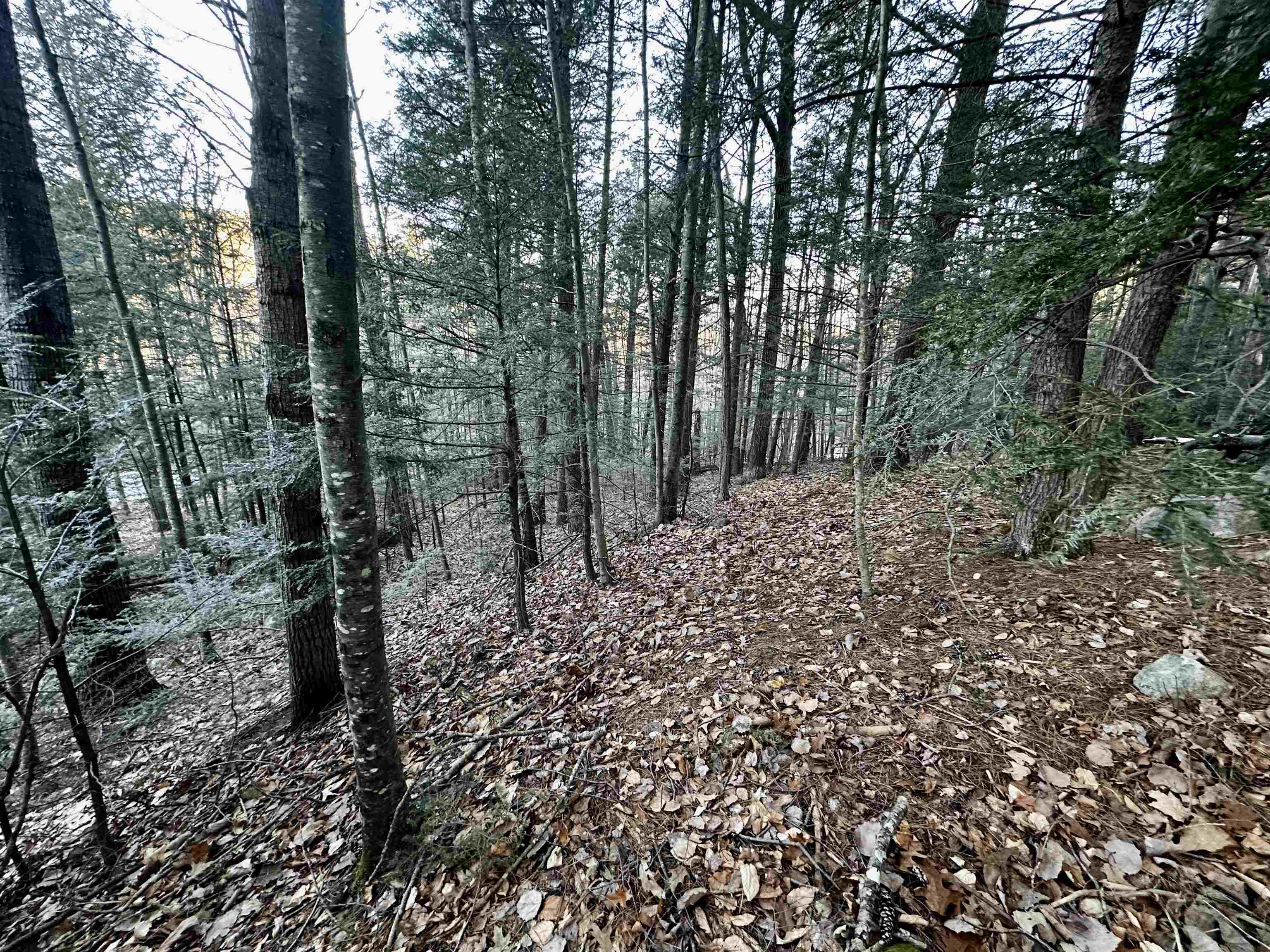 MLS #5037568 image #11