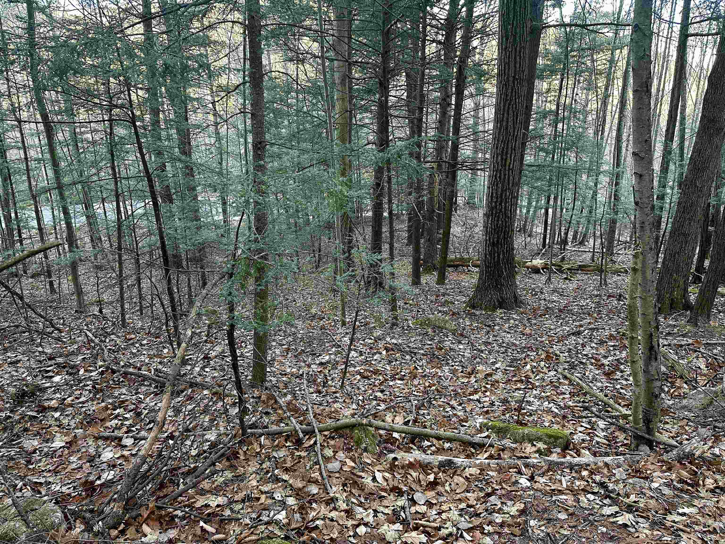 MLS #5037568 image #13