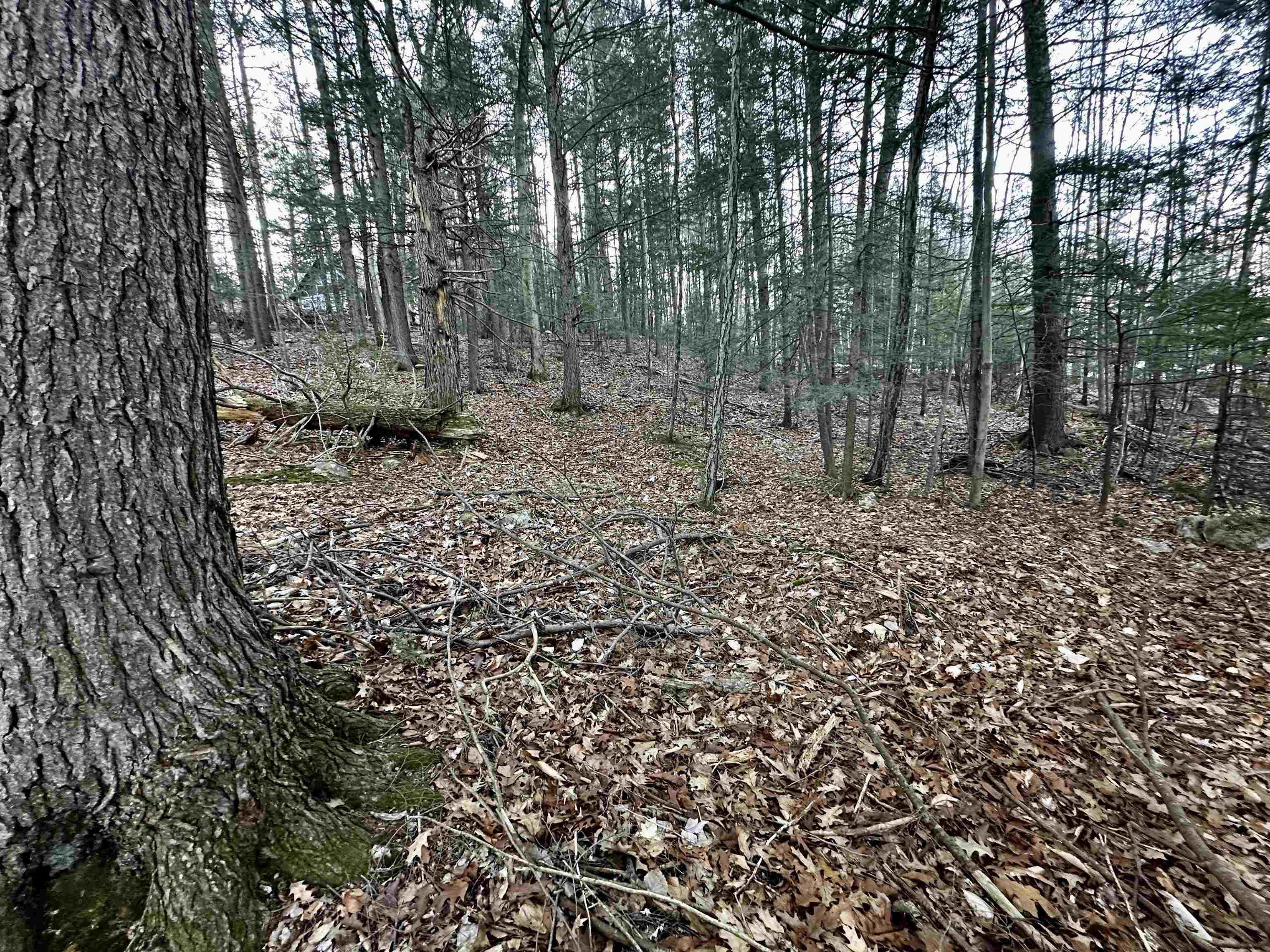 MLS #5037568 image #15