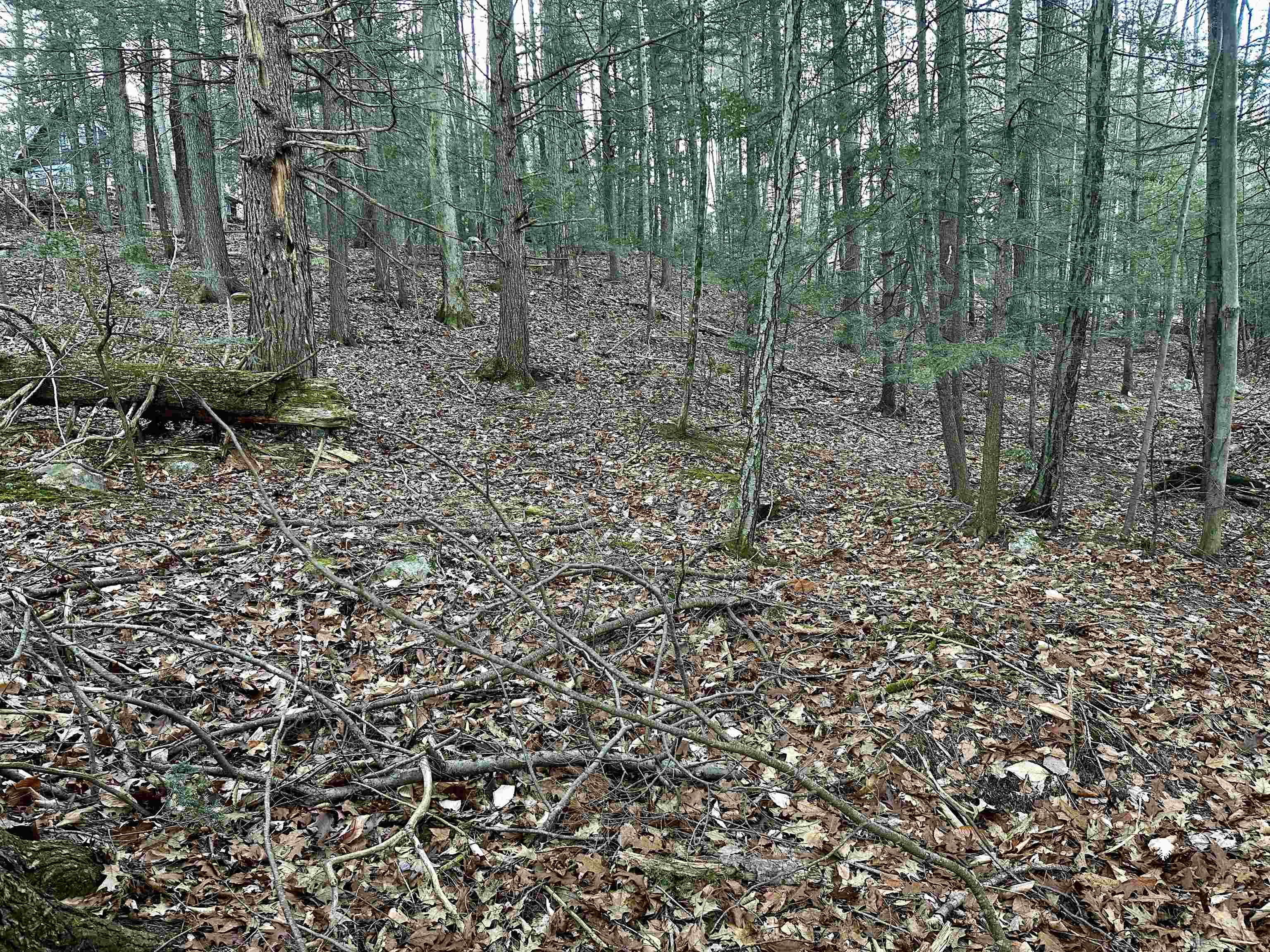 MLS #5037568 image #16