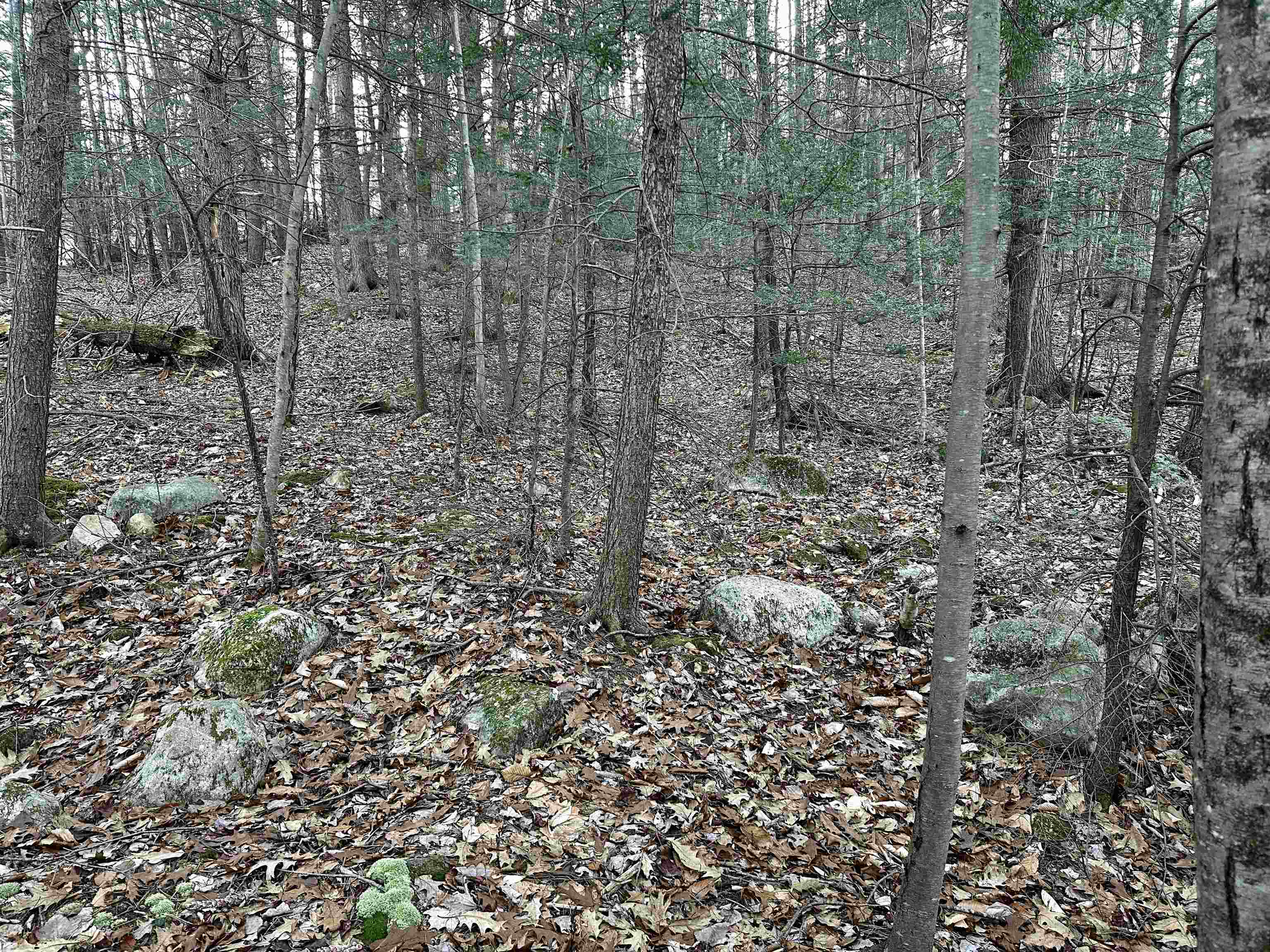 MLS #5037568 image #17