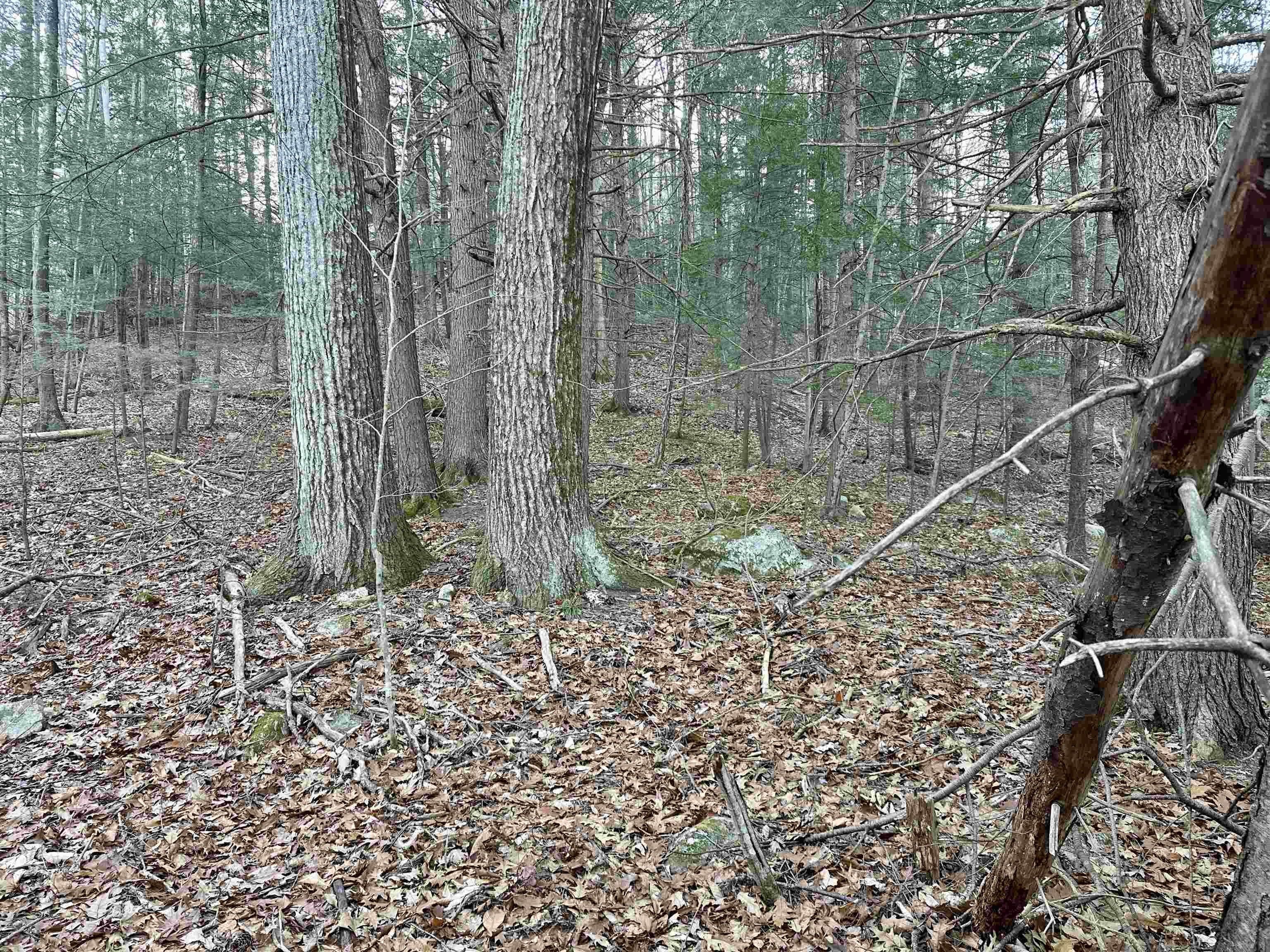 MLS #5037568 image #18