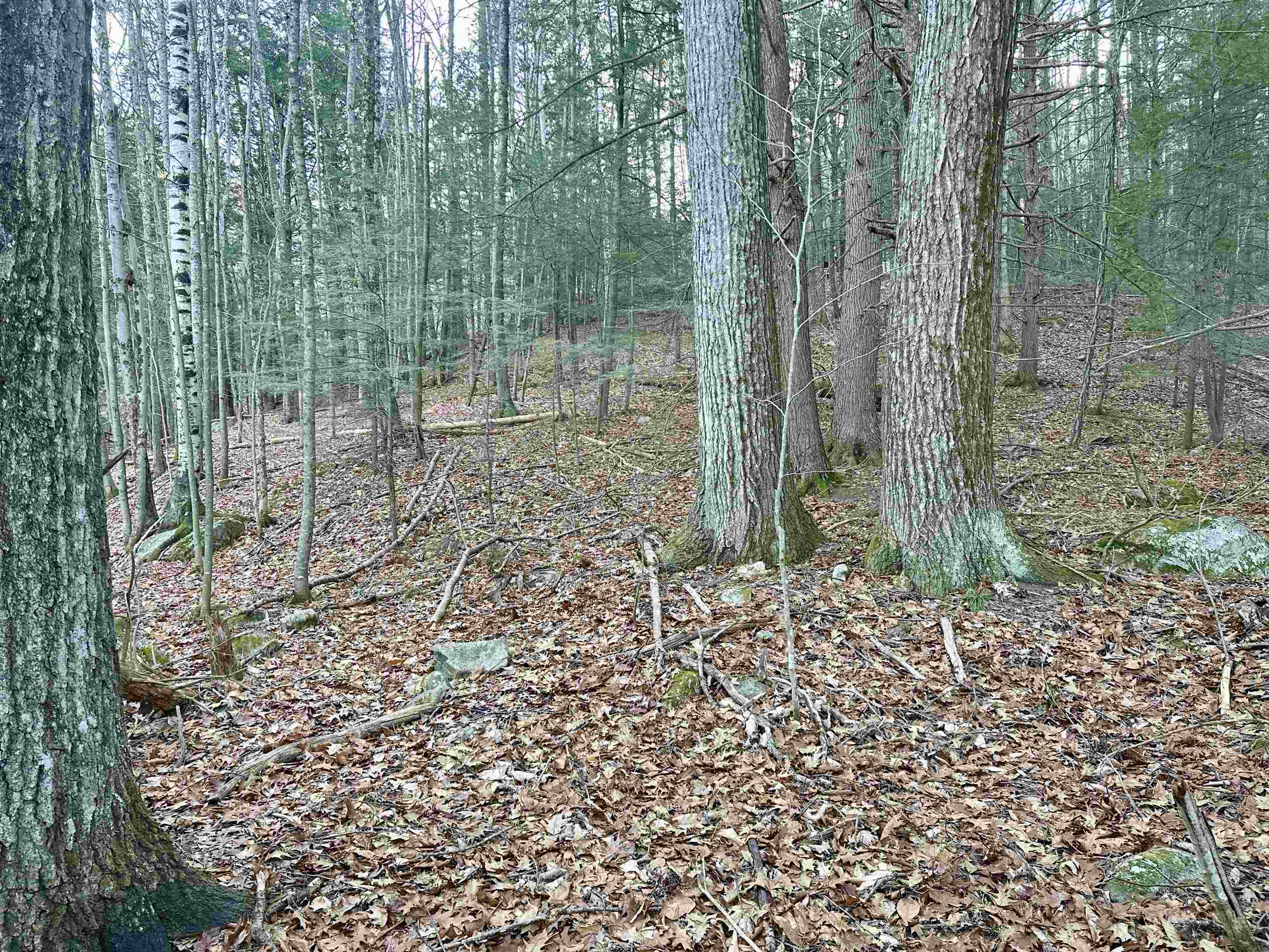 MLS #5037568 image #19