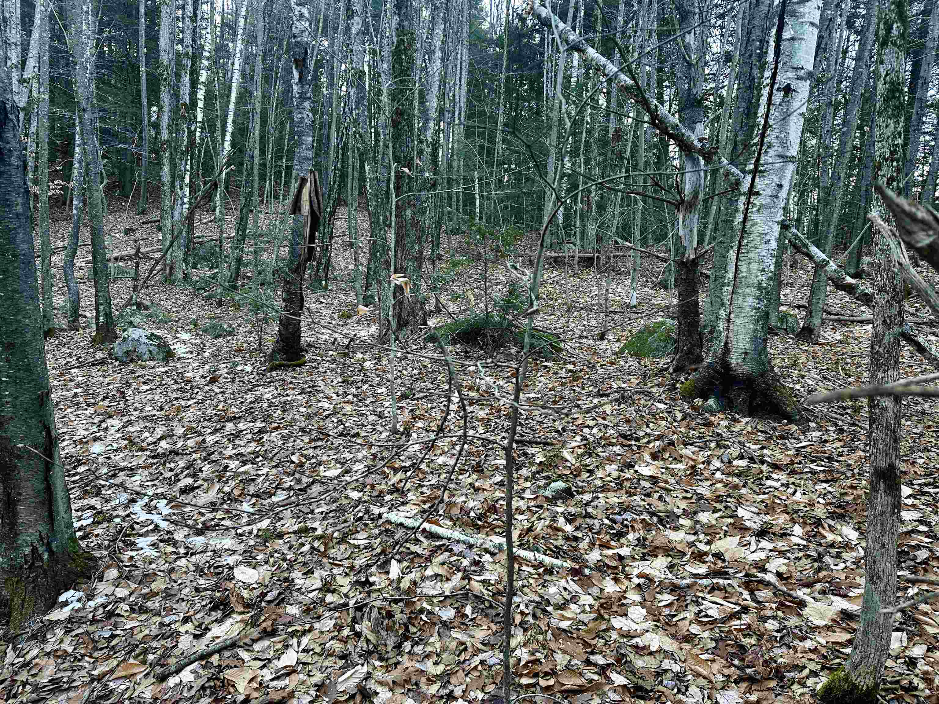 MLS #5037568 image #20