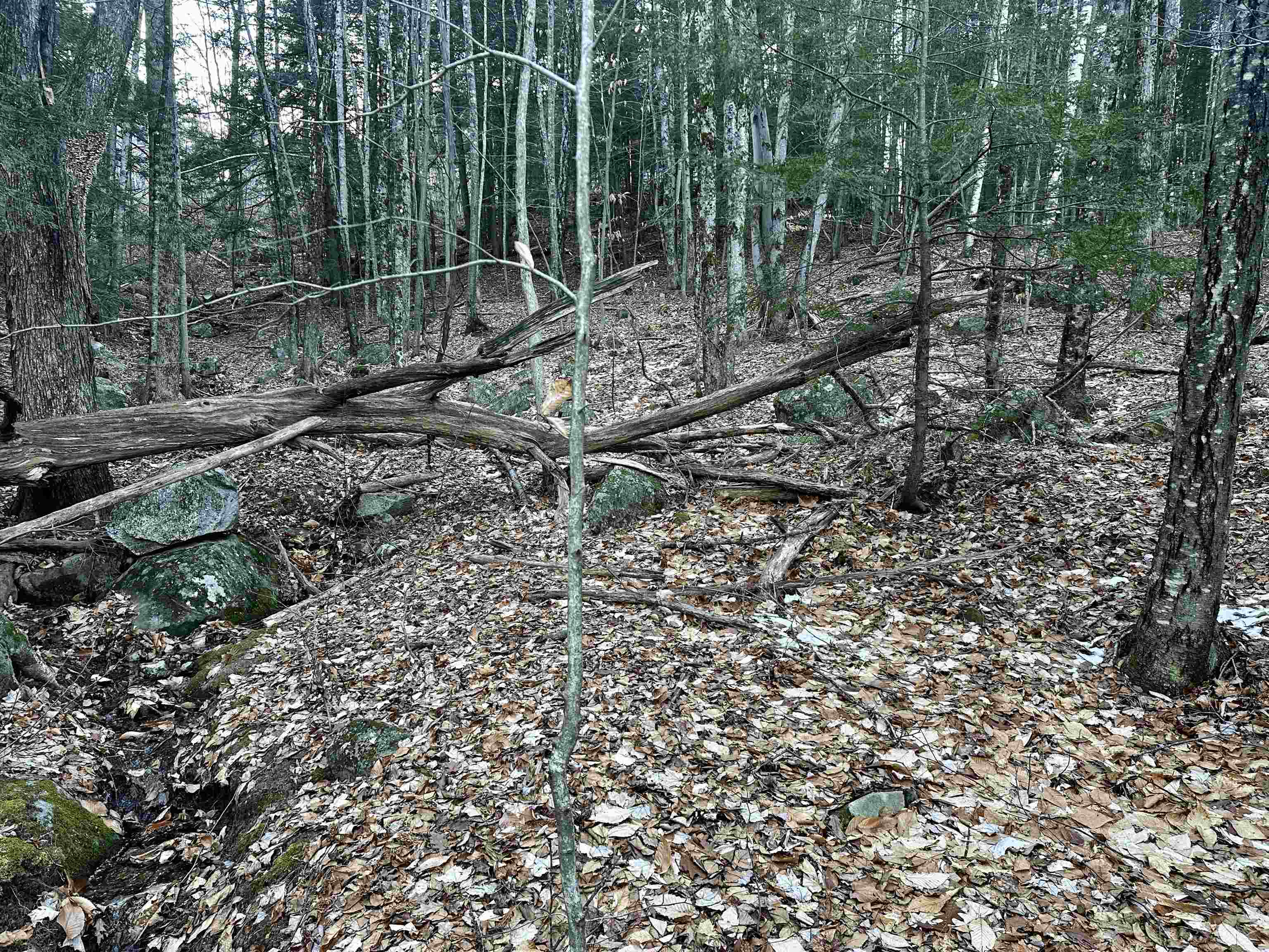 MLS #5037568 image #21