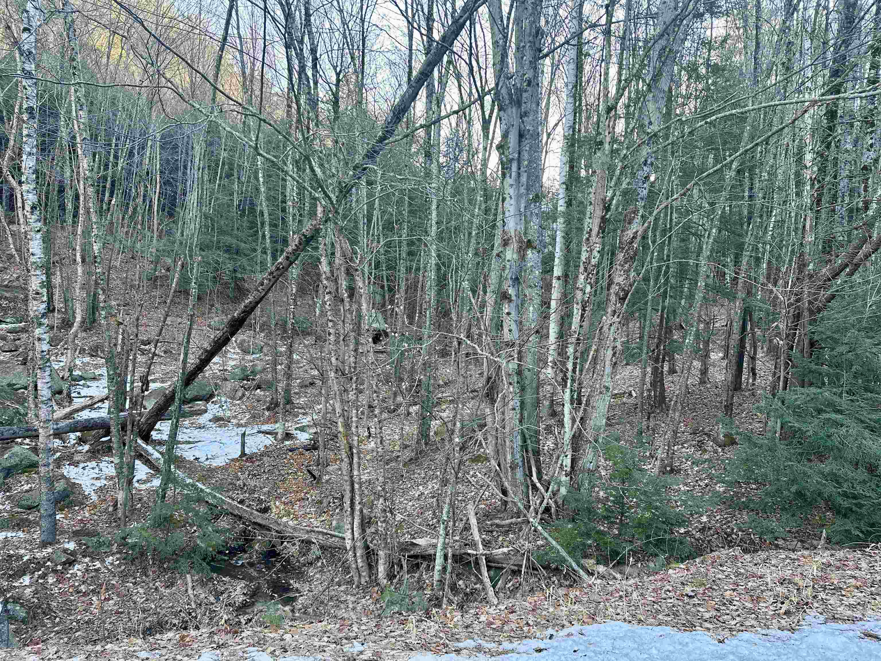 MLS #5037568 image #23