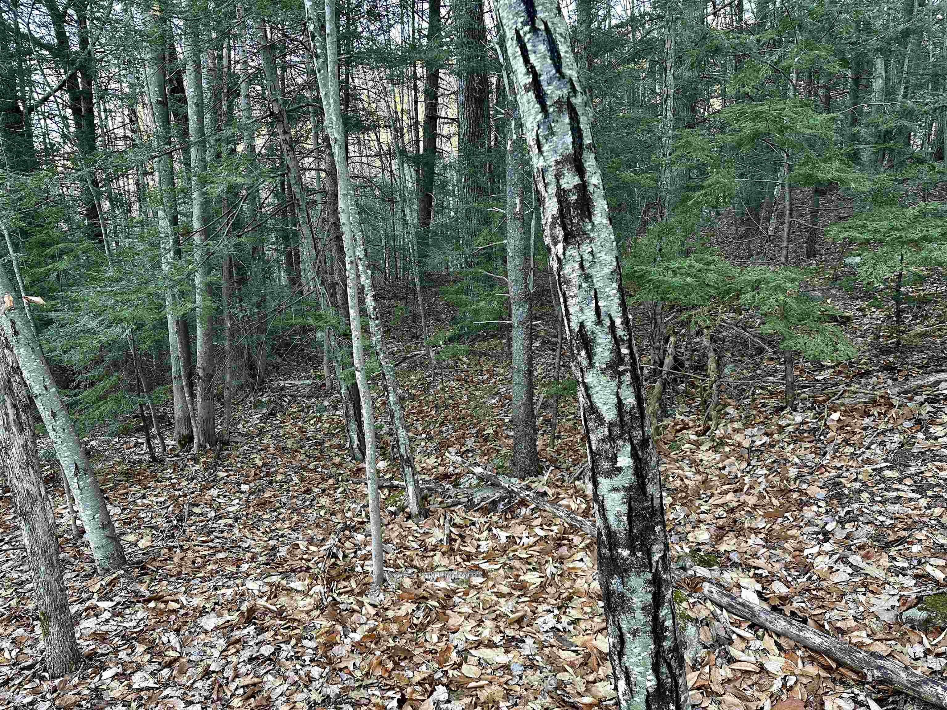 MLS #5037568 image #24