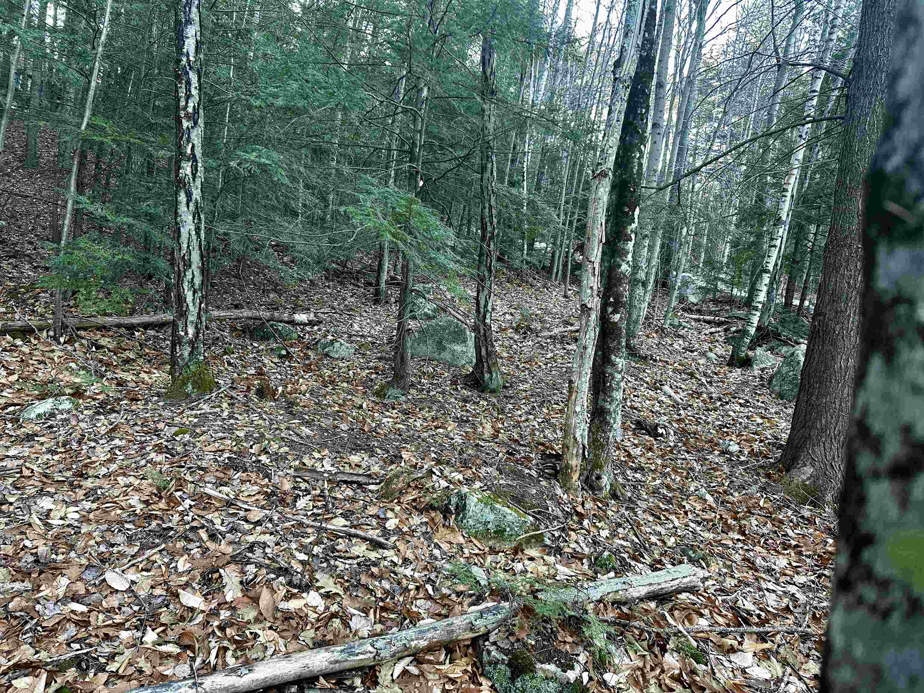 MLS #5037568 image #25