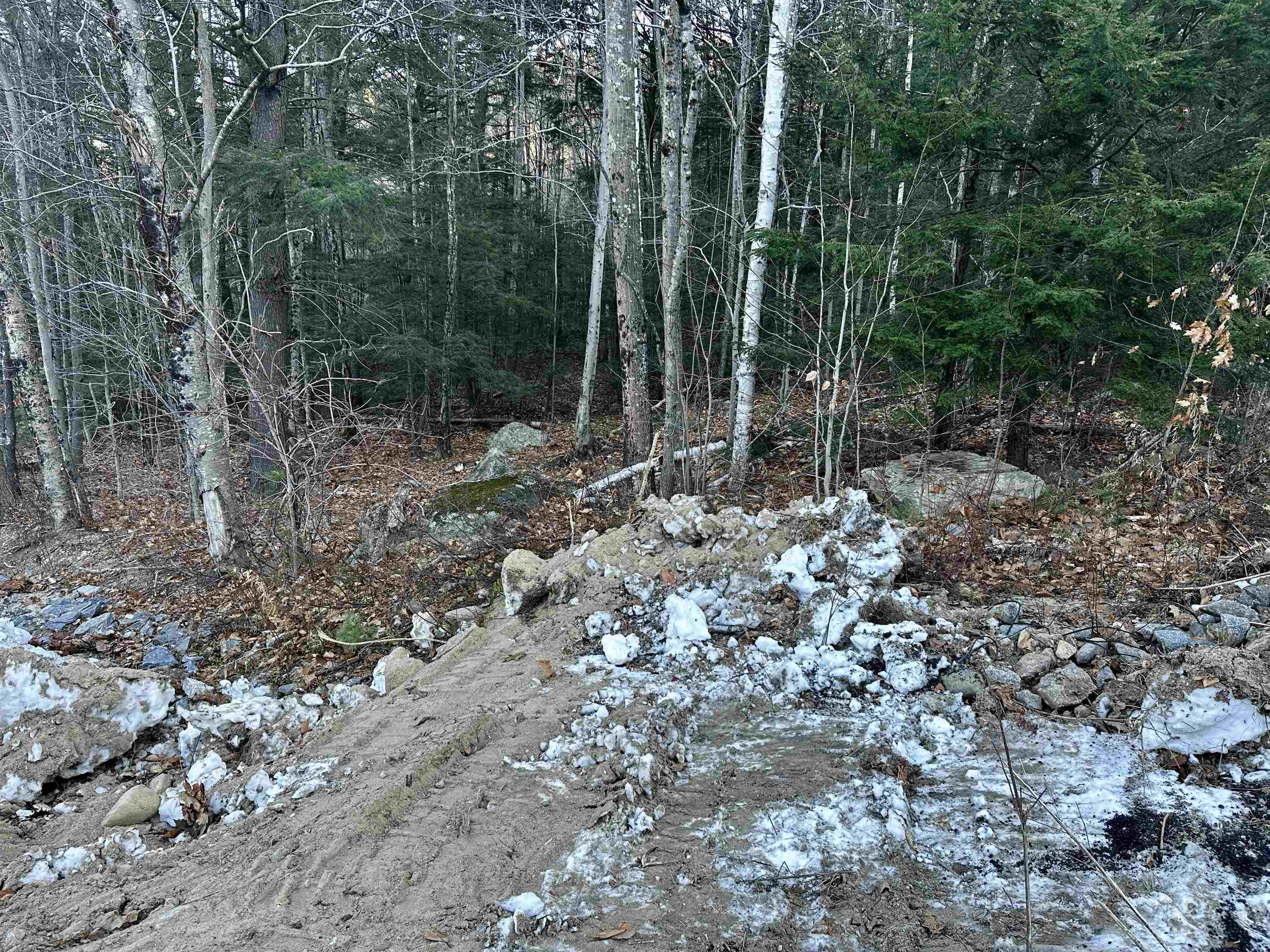 MLS #5037568 image #7