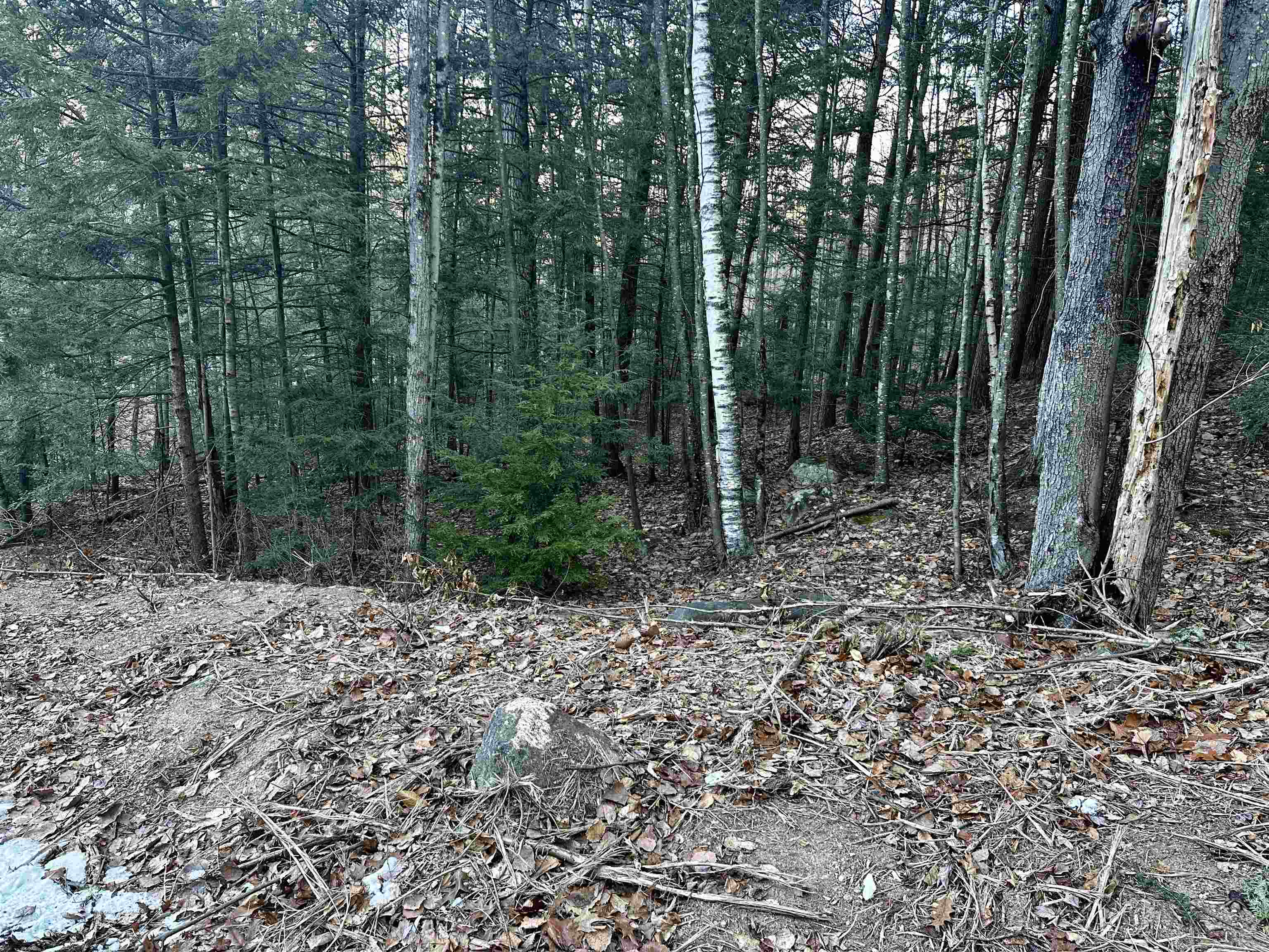 MLS #5037568 image #8