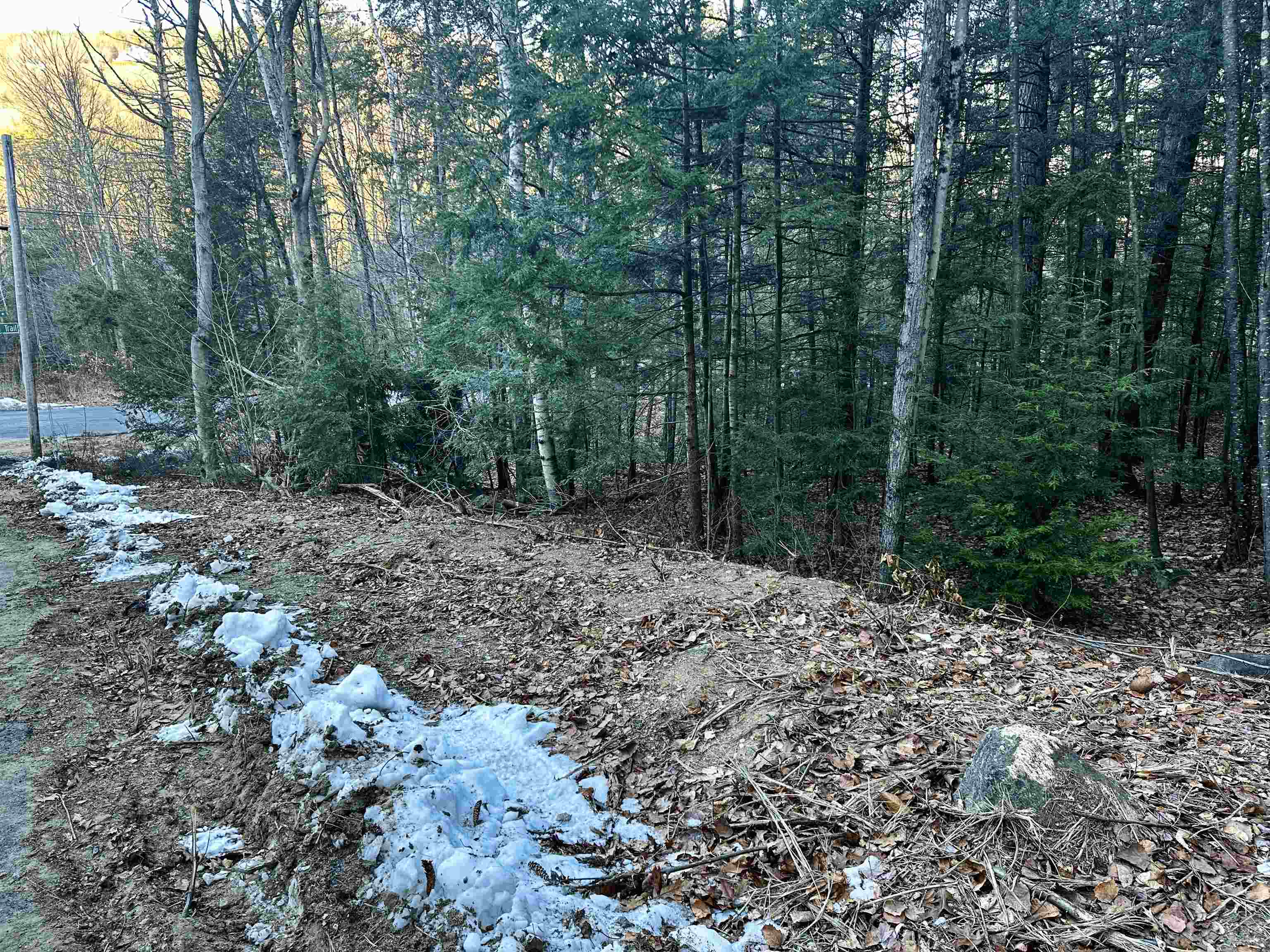 MLS #5037568 image #9