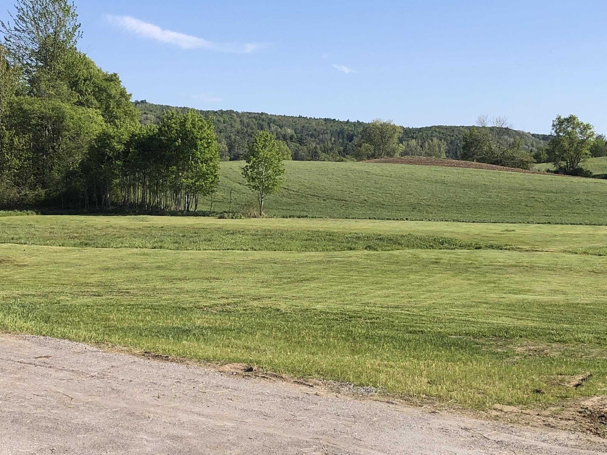 Homes for sale in Albany, VT | 3275 Vt Route 14, Albany, VT 05820 | MLS# 5037698