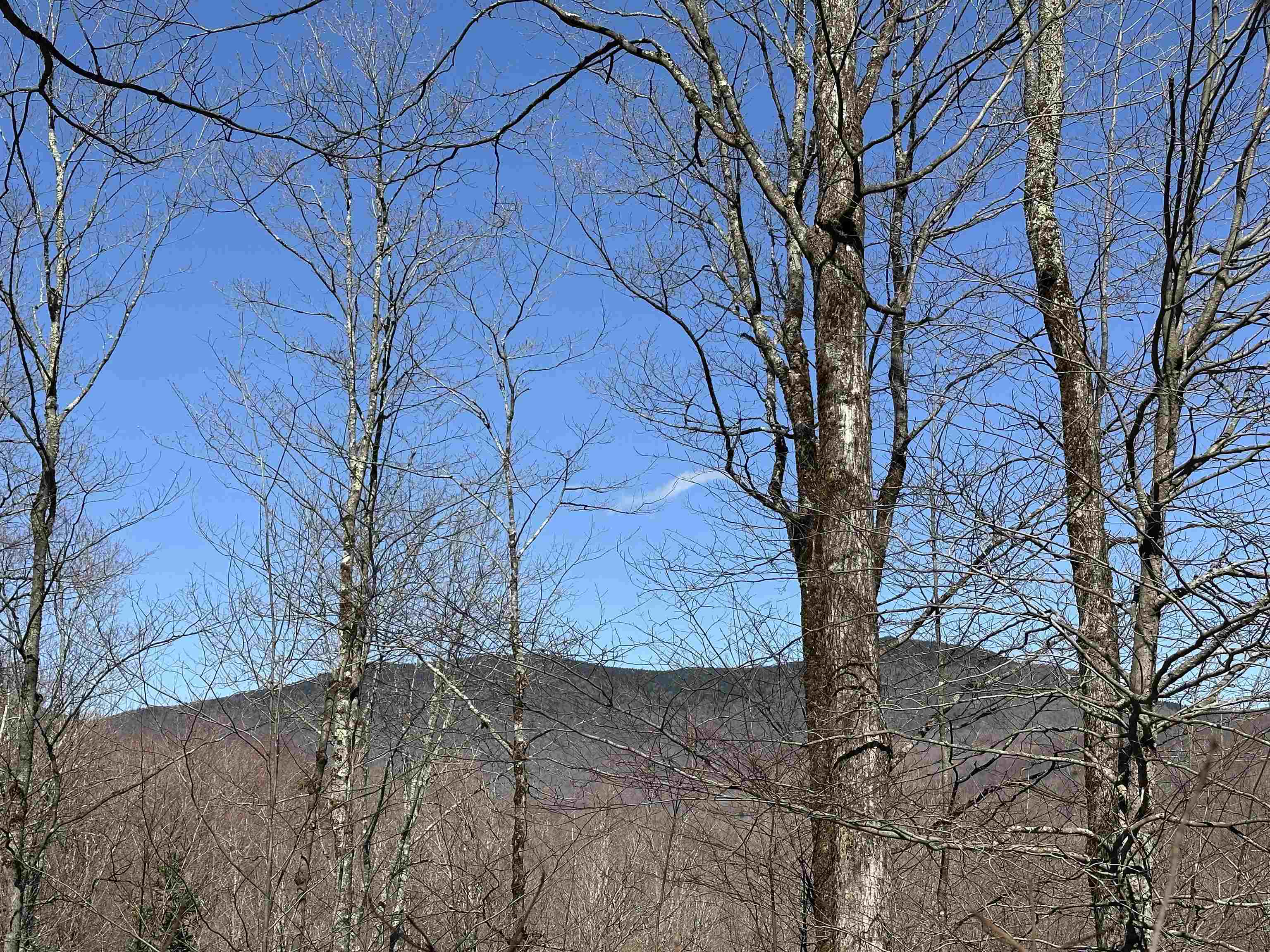 Homes for sale in Chittenden, VT | 00 Ice Pond Rd, Chittenden, VT 05763 | MLS# 5037834