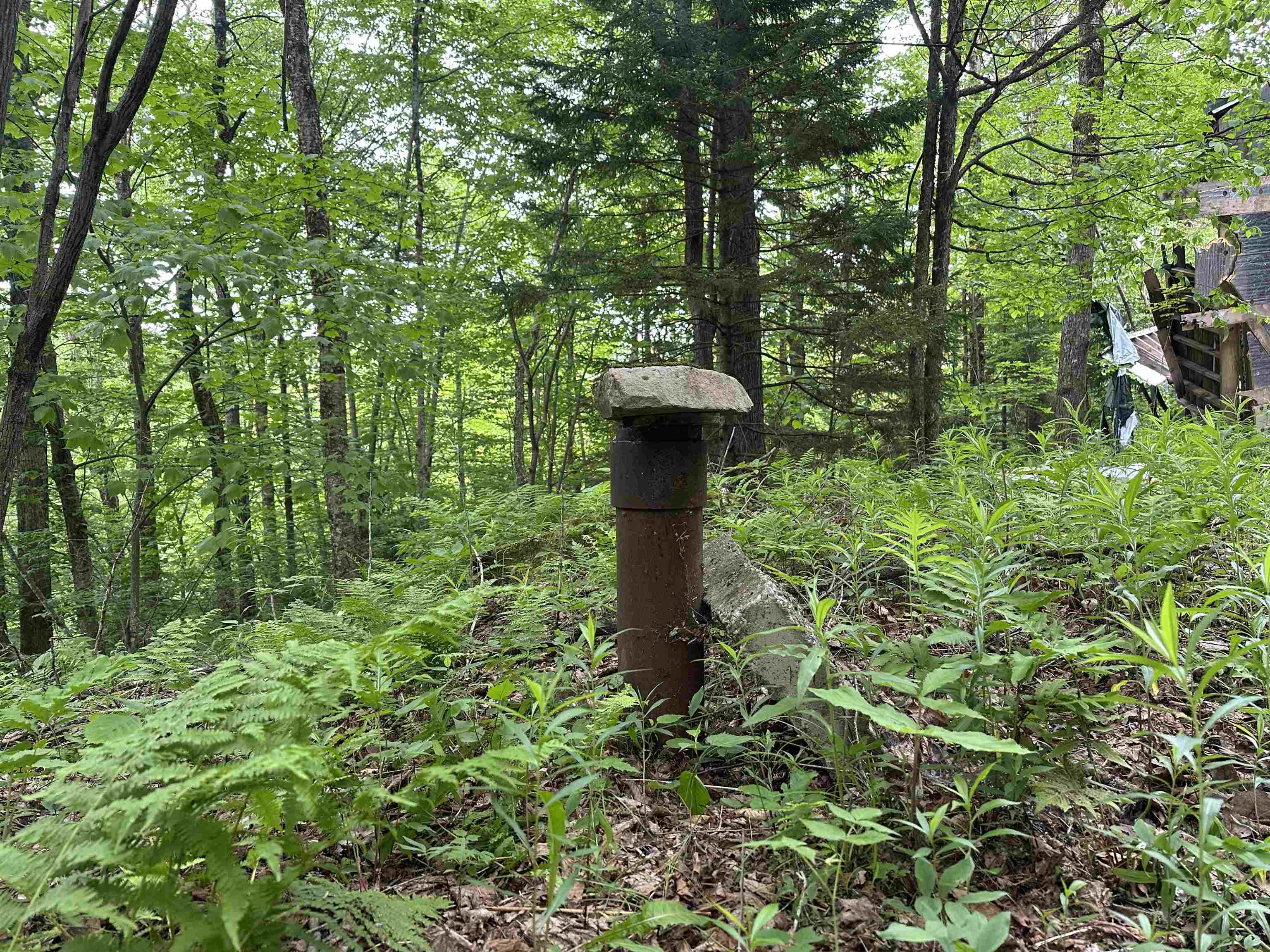 Homes for sale in Chittenden, VT | 00 Ice Pond Rd, Chittenden, VT 05763 | MLS# 5037834