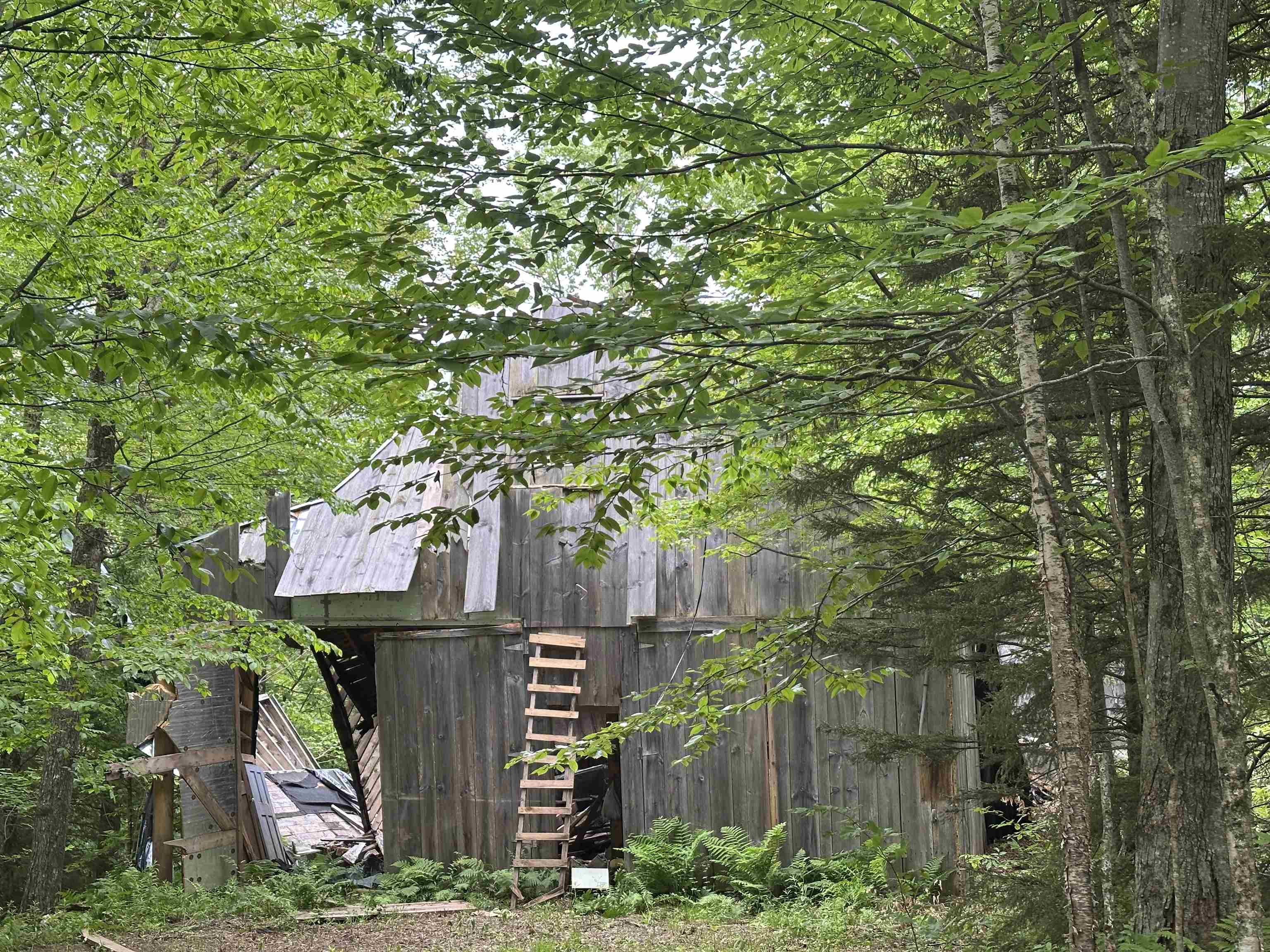 Homes for sale in Chittenden, VT | 00 Ice Pond Rd, Chittenden, VT 05763 | MLS# 5037834