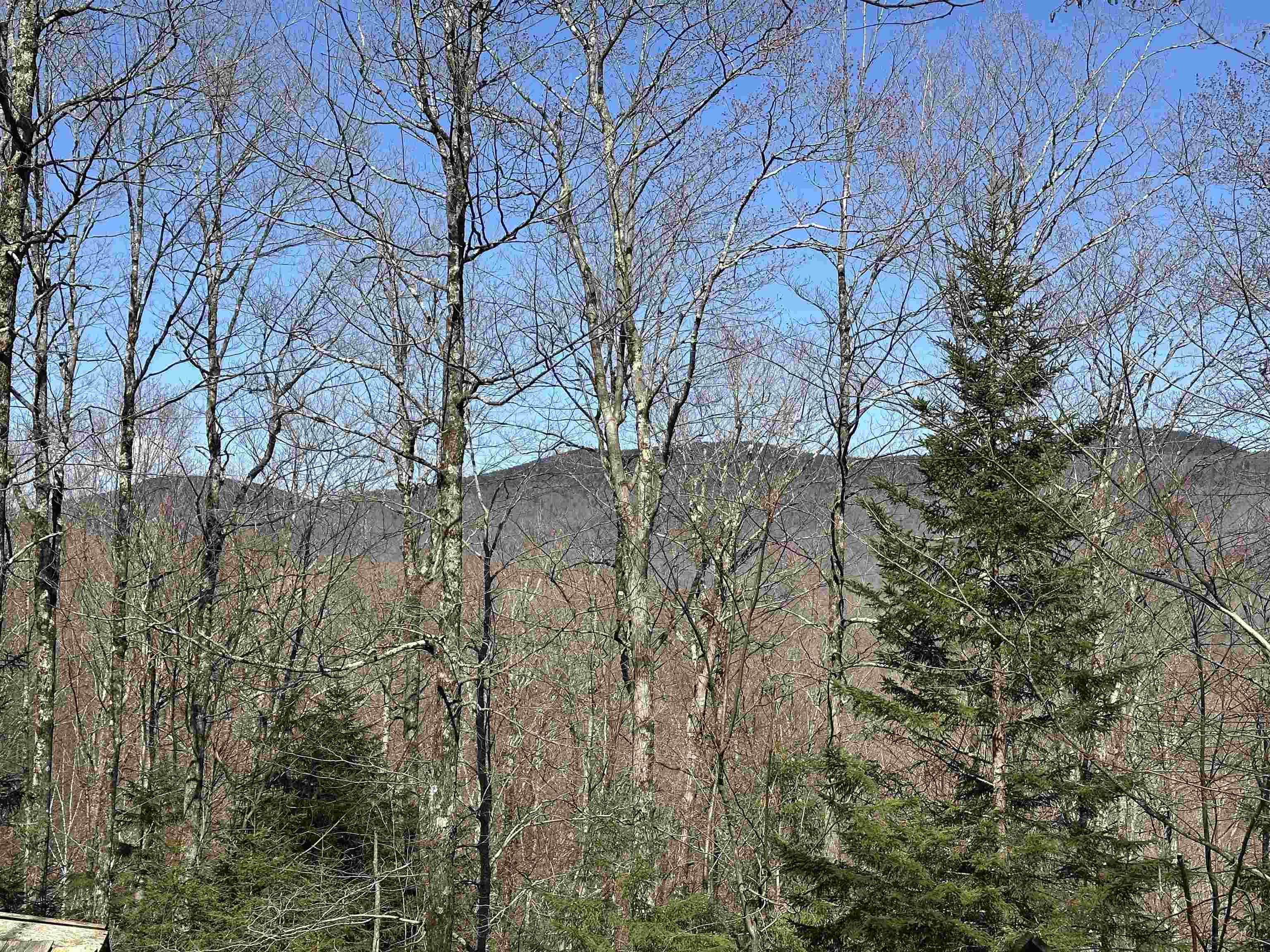 Homes for sale in Chittenden, VT | 00 Ice Pond Rd, Chittenden, VT 05763 | MLS# 5037834