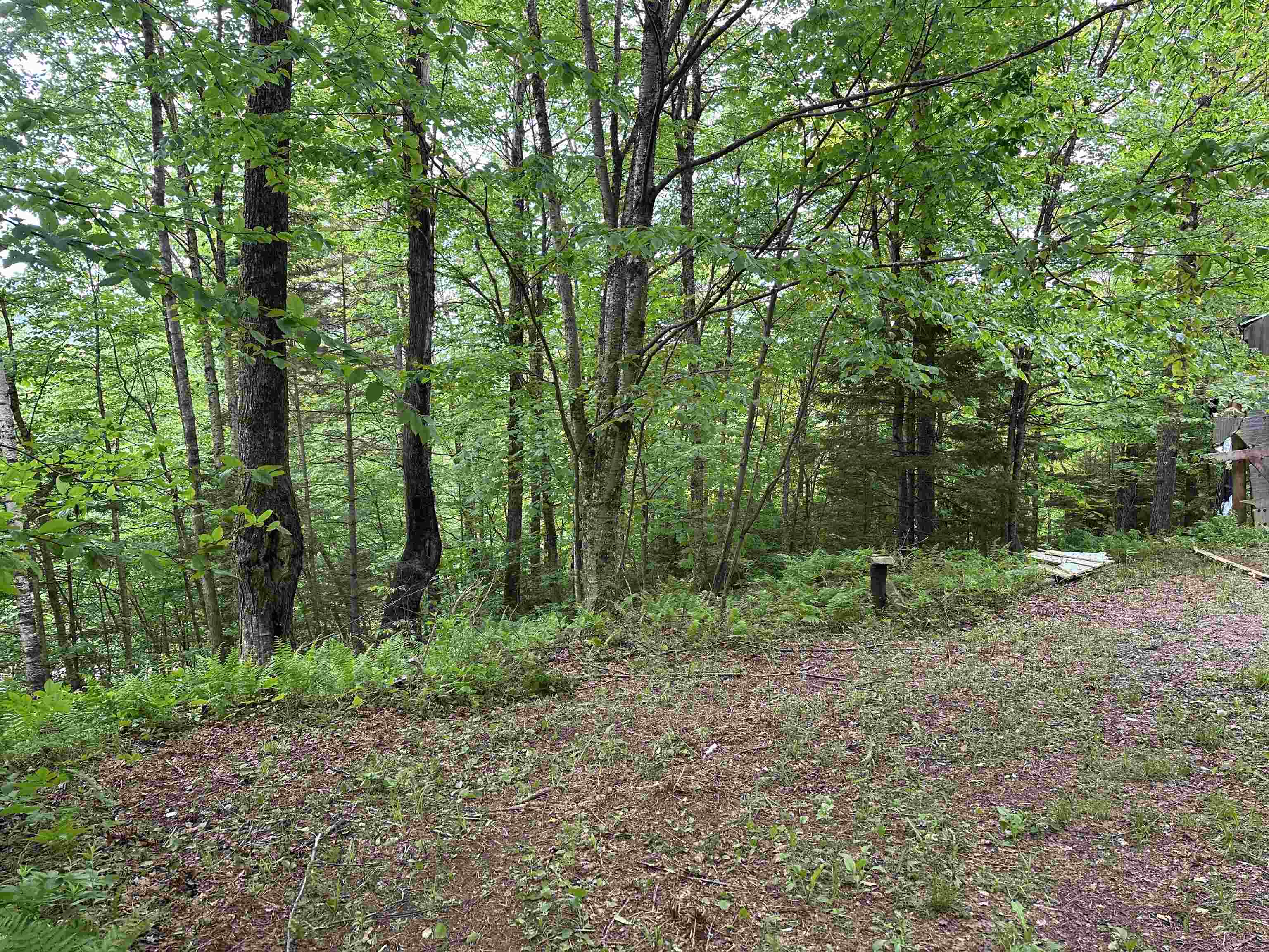 Homes for sale in Chittenden, VT | 00 Ice Pond Rd, Chittenden, VT 05763 | MLS# 5037834