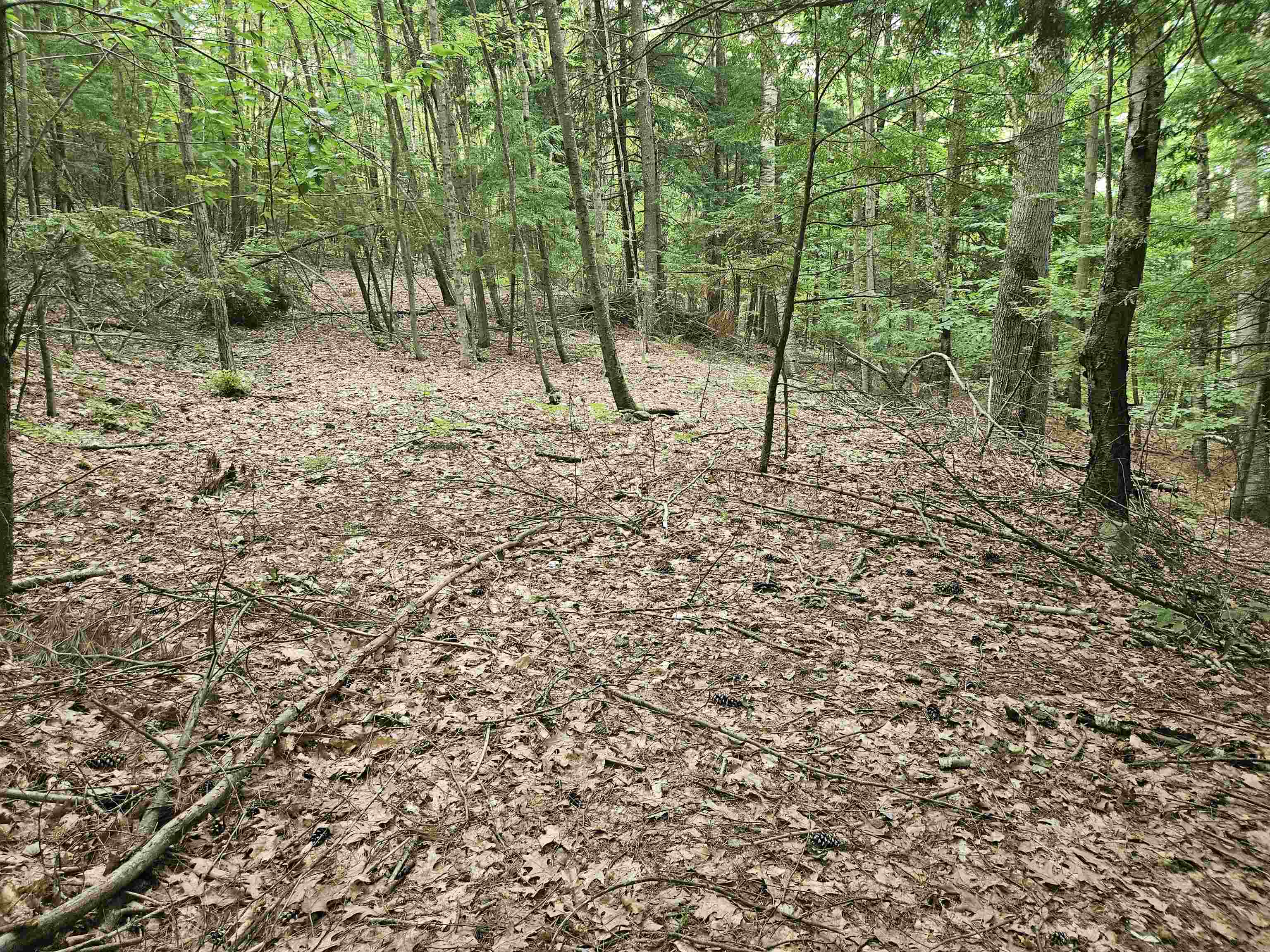 Homes for sale in Gilmanton, NH | Map 132 Lot 115 Arrowhead Ln, Gilmanton, NH 03237 | MLS# 5037957