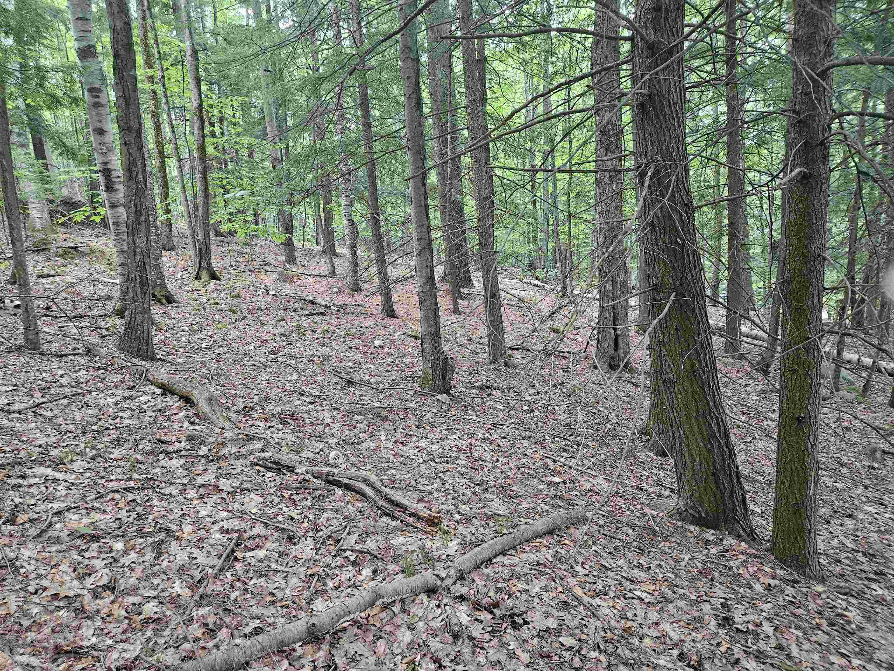 Homes for sale in Gilmanton, NH | Map 132 Lot 115 Arrowhead Ln, Gilmanton, NH 03237 | MLS# 5037957