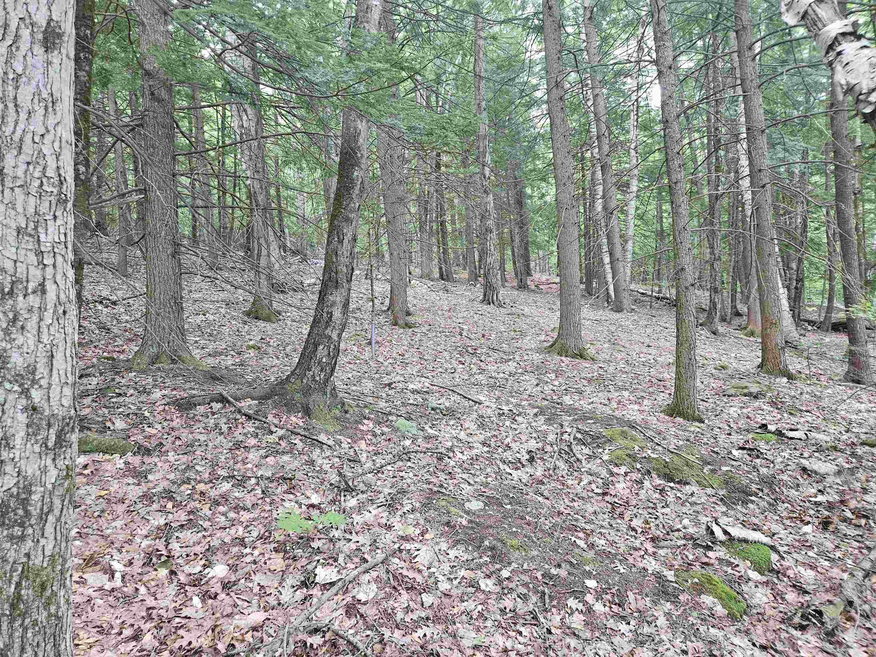 Map 132 Lot 115 Arrowhead Ln, Gilmanton, NH 03237