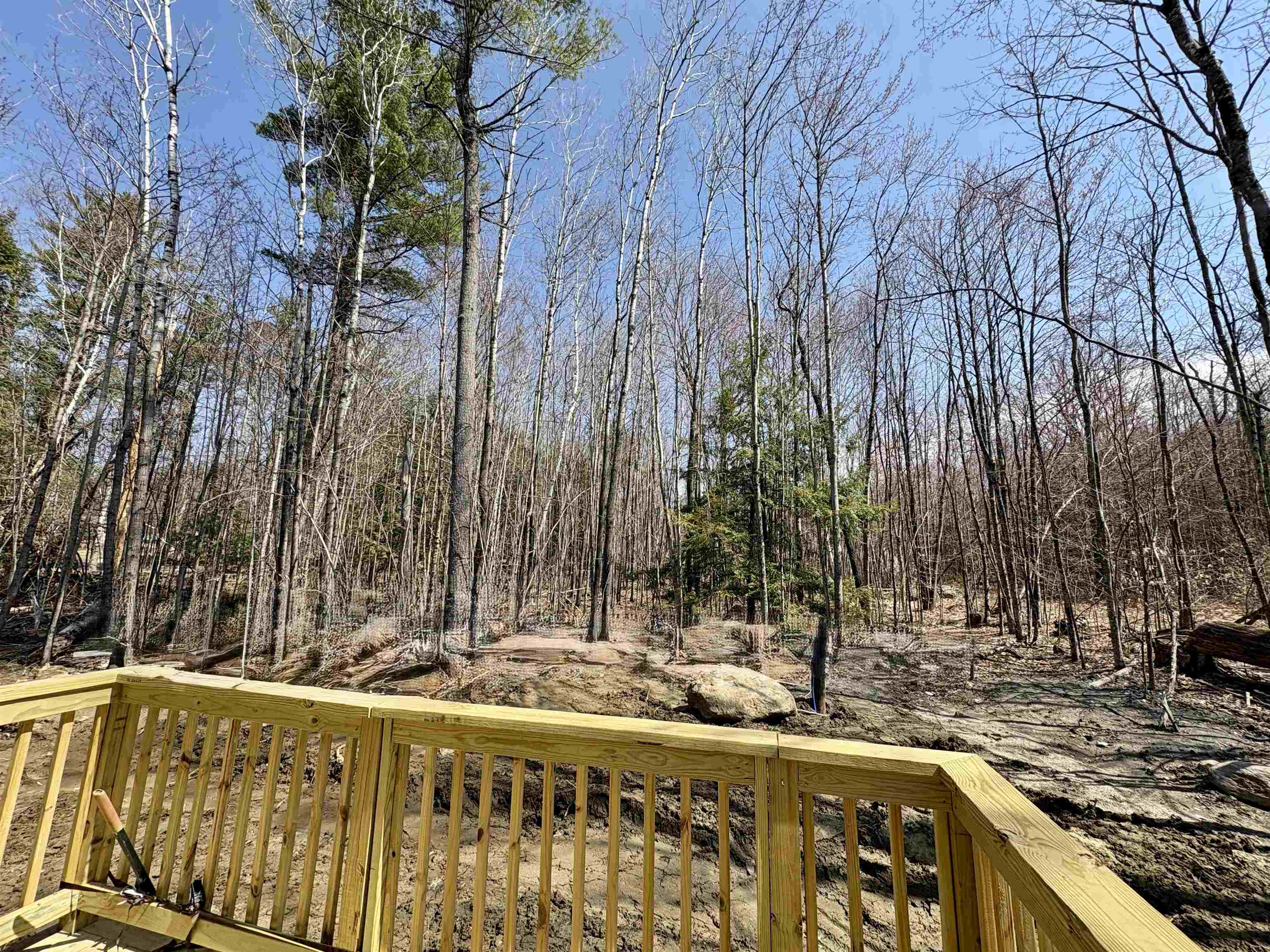 view from the side deck 23069381