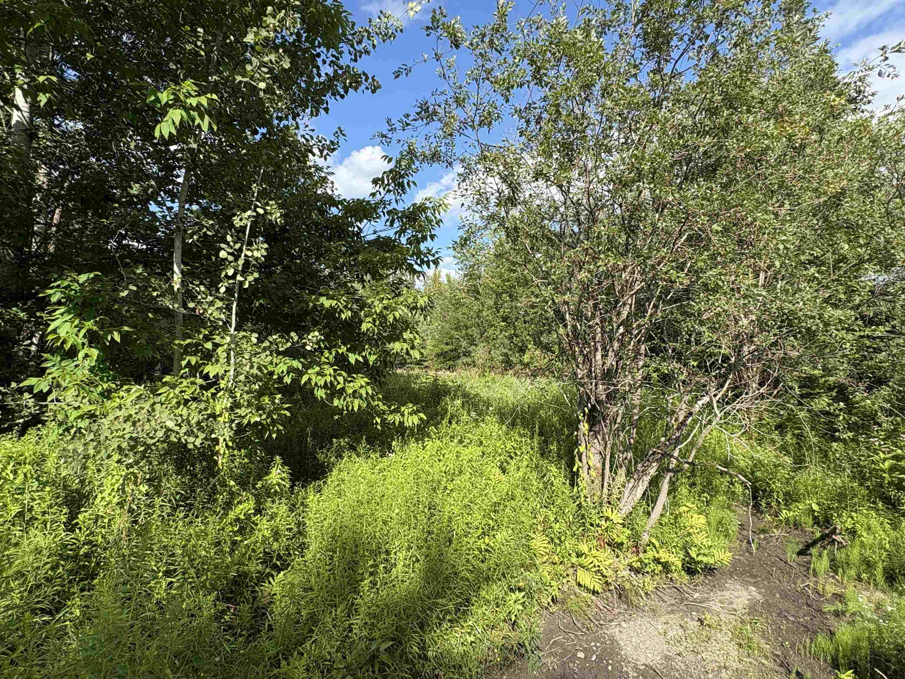 Homes for sale in Danville, VT | Partridge Ln, Danville, VT 05828 | MLS# 5038200