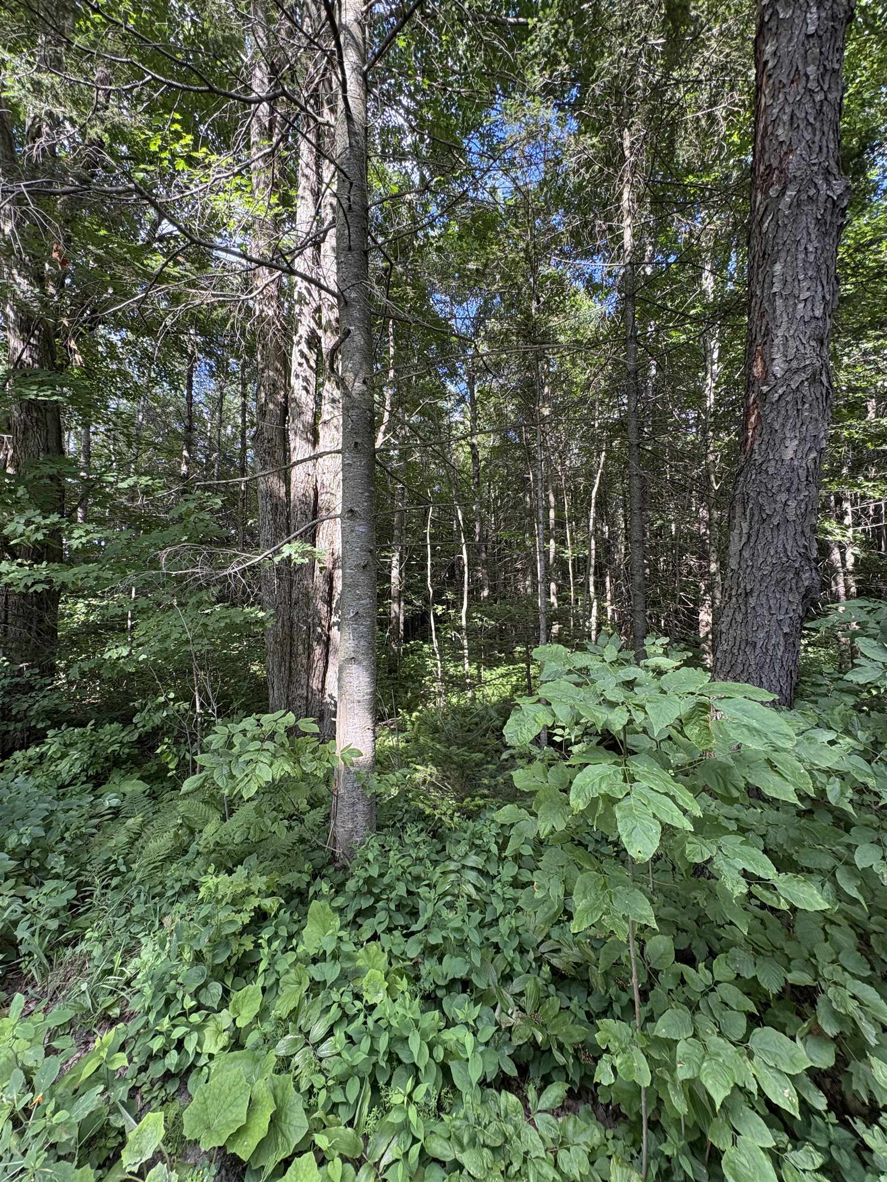 Homes for sale in Danville, VT | Partridge Ln, Danville, VT 05828 | MLS# 5038200