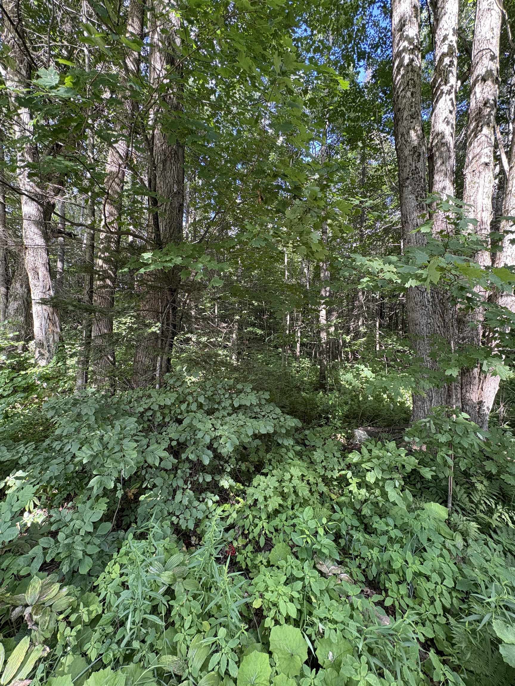 Homes for sale in Danville, VT | Partridge Ln, Danville, VT 05828 | MLS# 5038200