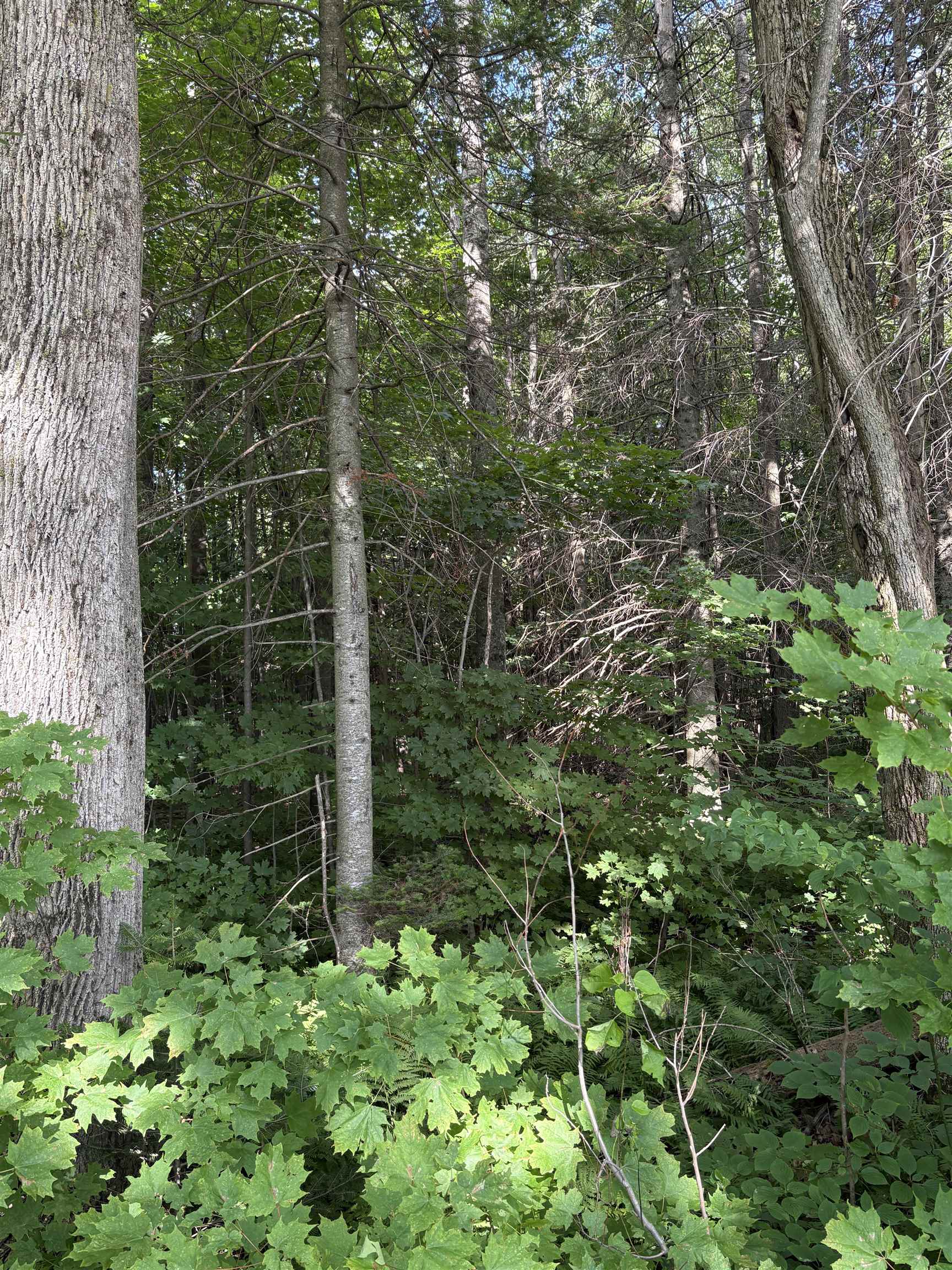 Homes for sale in Danville, VT | Partridge Ln, Danville, VT 05828 | MLS# 5038200